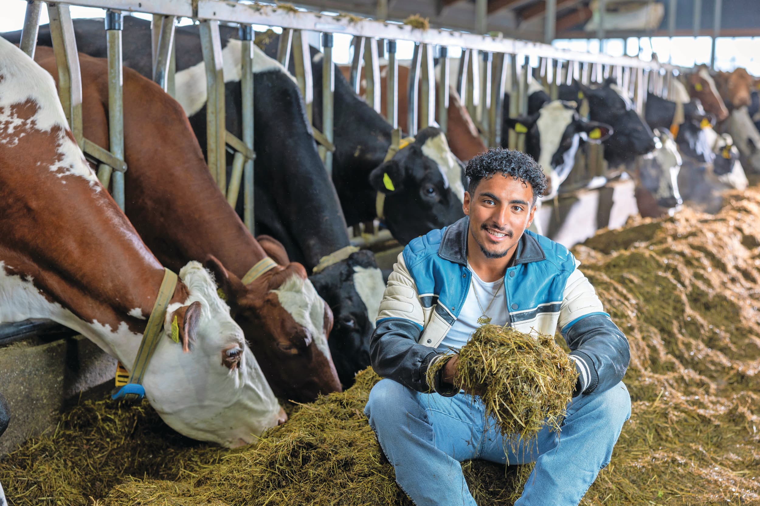 Het is makkelijker om in Marokko iets te beginnen dan in Nederland. Ayoub huurde er een stuk grond waar hij nu luzerne teelt om te verkopen als veevoer. Een boerderij in Nederland ziet hij echter ook nog steeds voor zich. Foto: Mark Pasveer