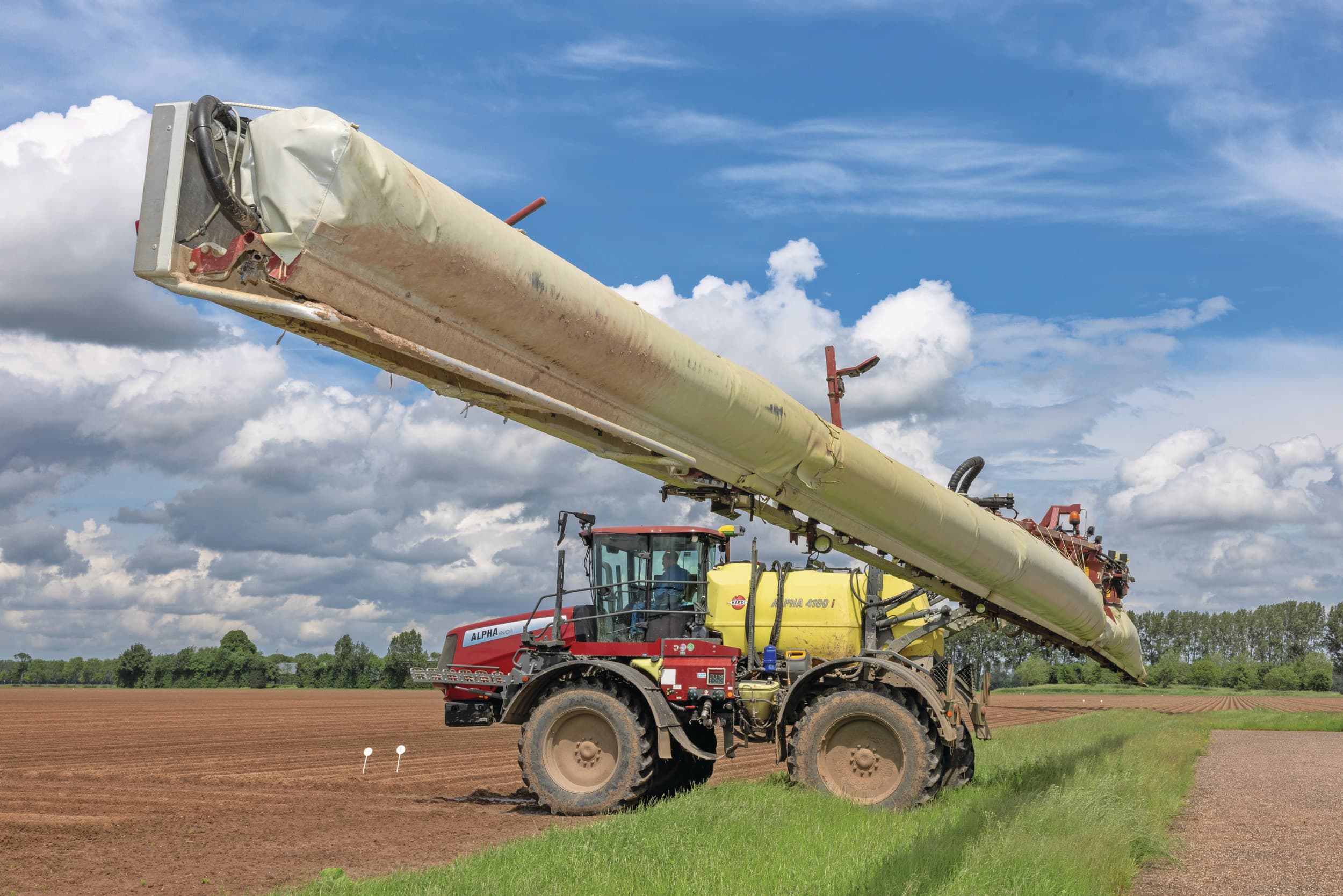 Bestrijding van phytophthora. Afbeelding ter illustratie. Foto: Peter Roek