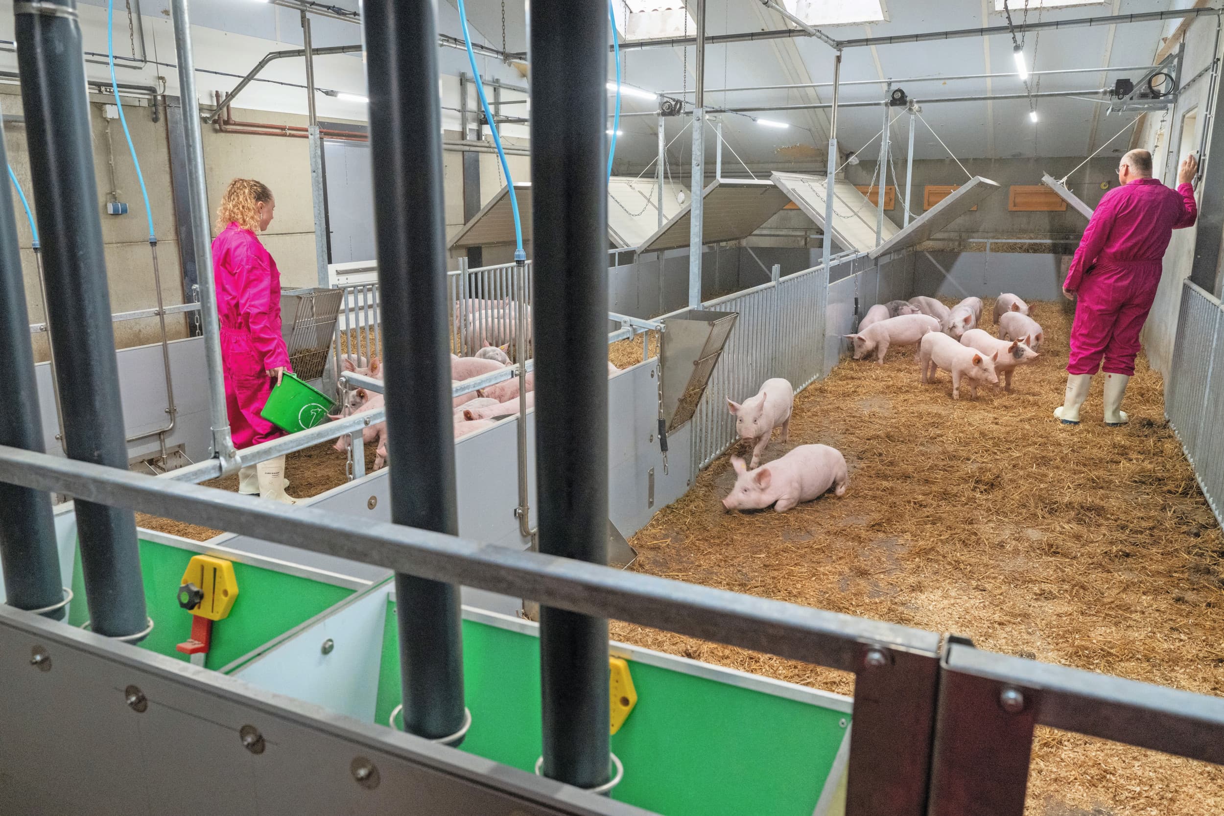 De wroetstal voor de vleesvarkens heeft drie hokken met plaats voor een weekgroep biggen, ongeveer 20 dieren per hok. De studenten zijn verantwoordelijk voor de verzorging van de varkens en de coach ondersteunt daarbij. Foto’s: Cor Salverius Fotografie