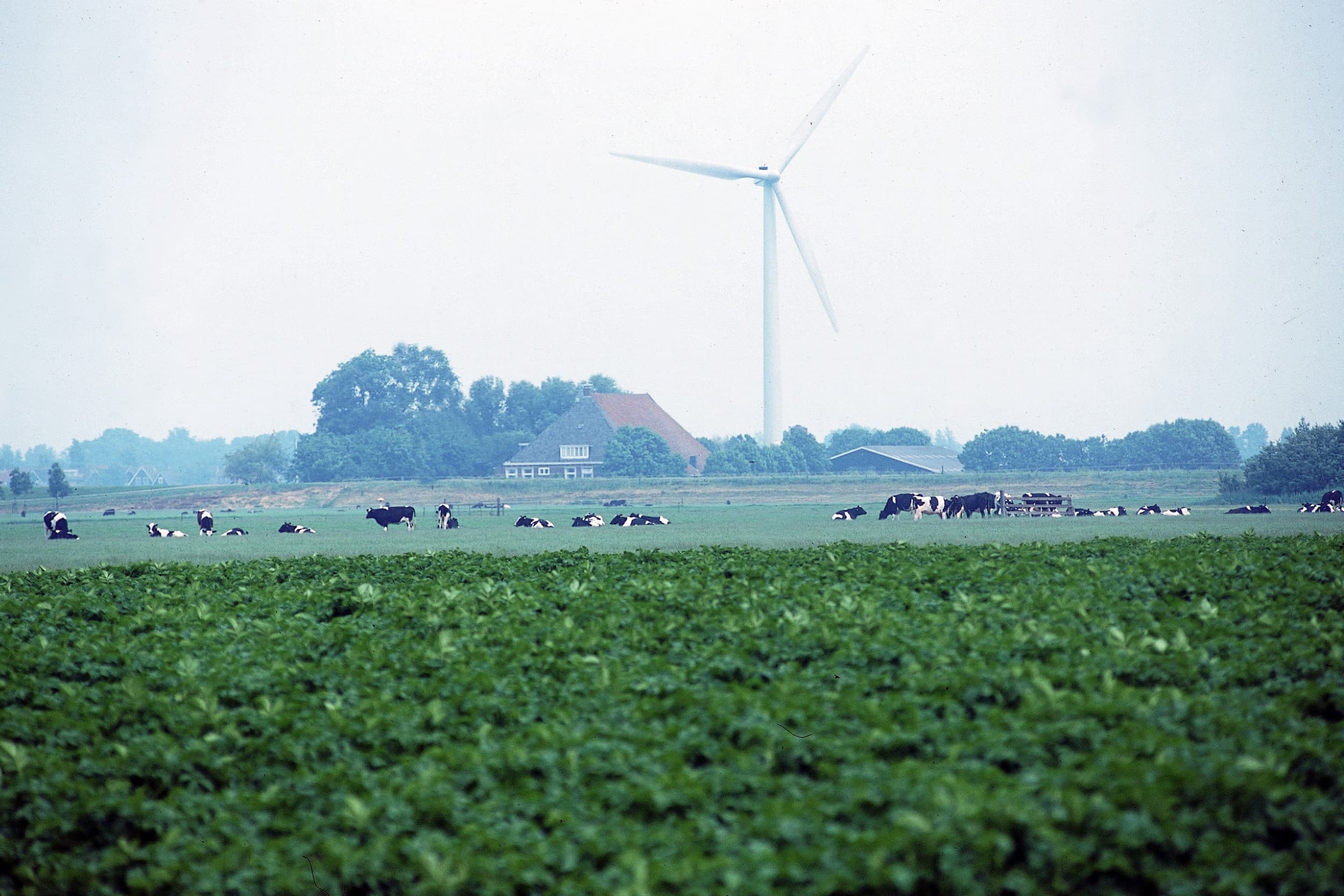 perspectief landbouw prijsdruk kosten