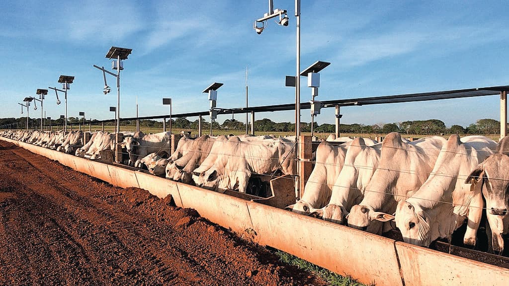 boerenprotest Brussel Zaventem