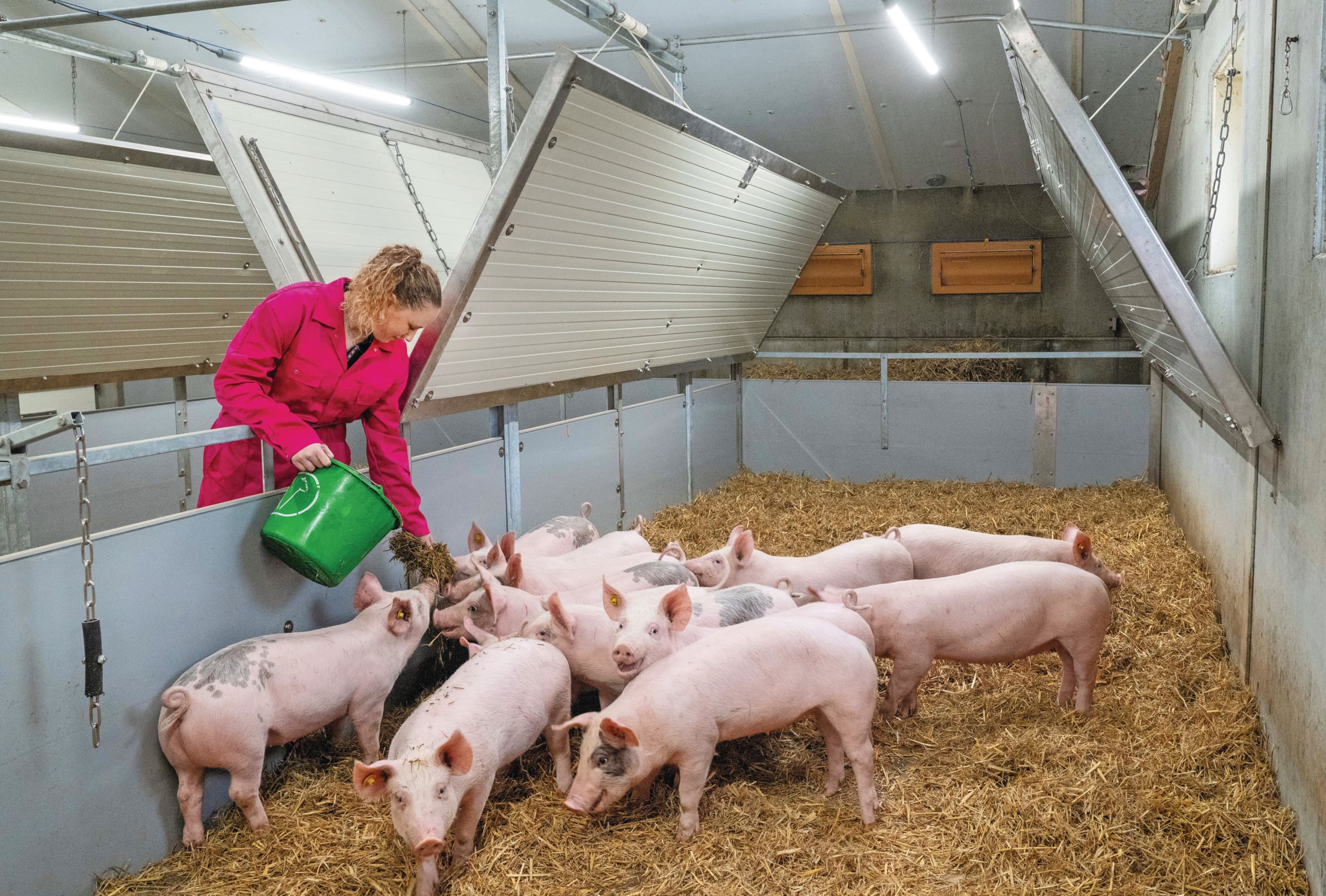 Investeringen in dierenwelzijn, zoals in deze wroetstal van een Aeres-studentbedrijf in Dronten, zijn erg kostbaar. Foto: Cor Salverius Fotografie