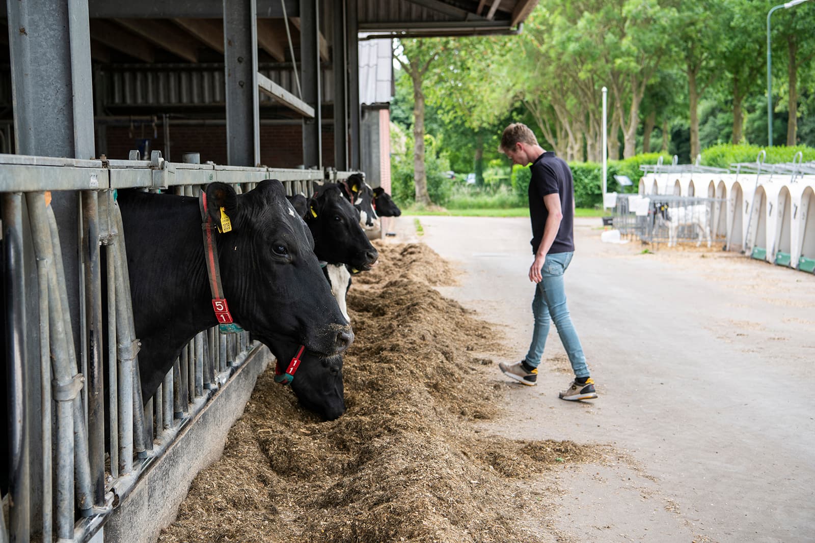 Foto's: FrieslandCampina