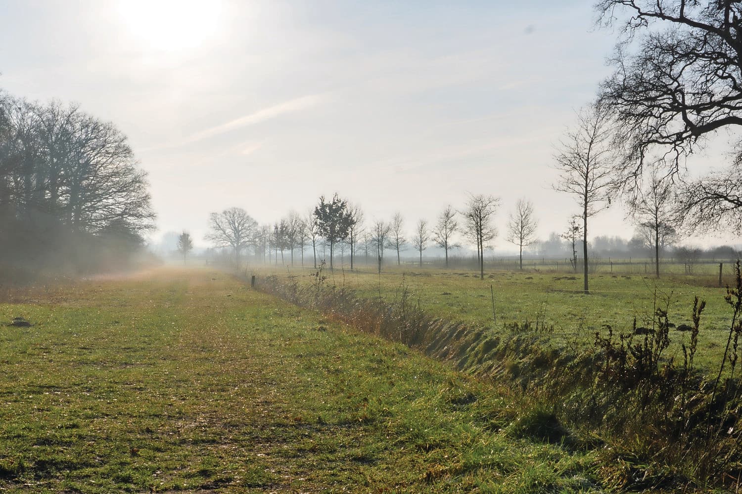 Agrarisch natuurbeheer in Diepenveen. Foto: Michiel Eberwijn