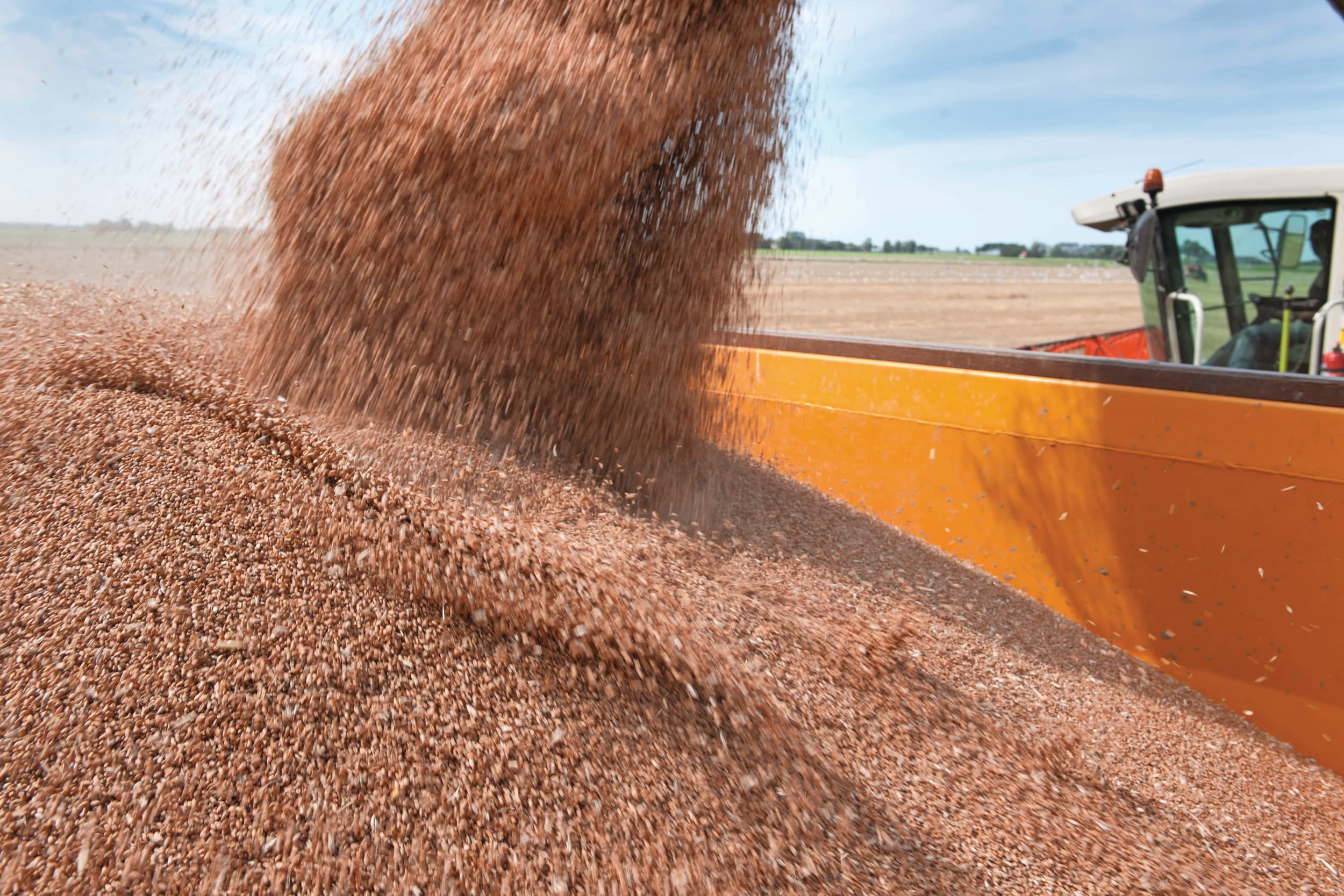 USDA periodieke prognose tarwe