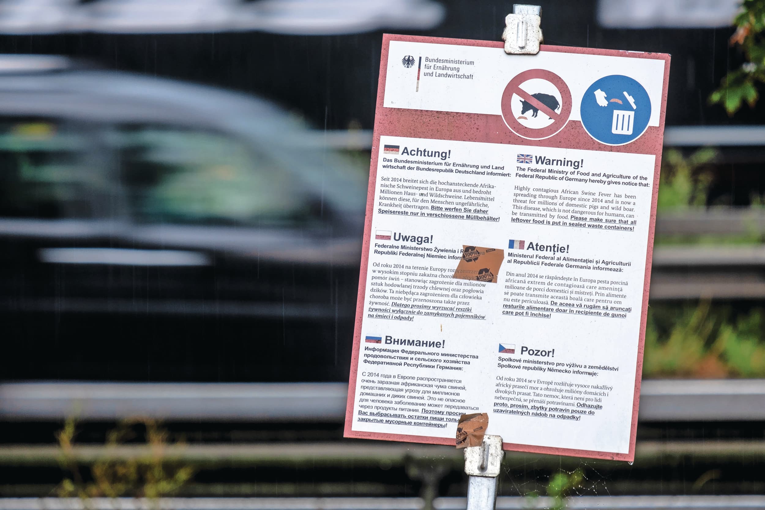 In steeds meer Europese landen zijn maatregelen tegen verspreiding van AVP noodzakelijk. Foto: Twan Wiermans