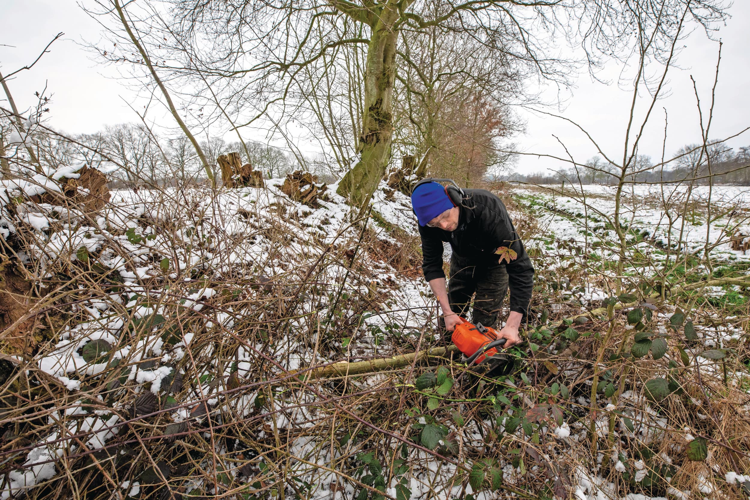 Agrarisch natuurbeheer is niet voldoende om de natuurdoelen te halen, aldus PBL. Foto: Anne van der Woude