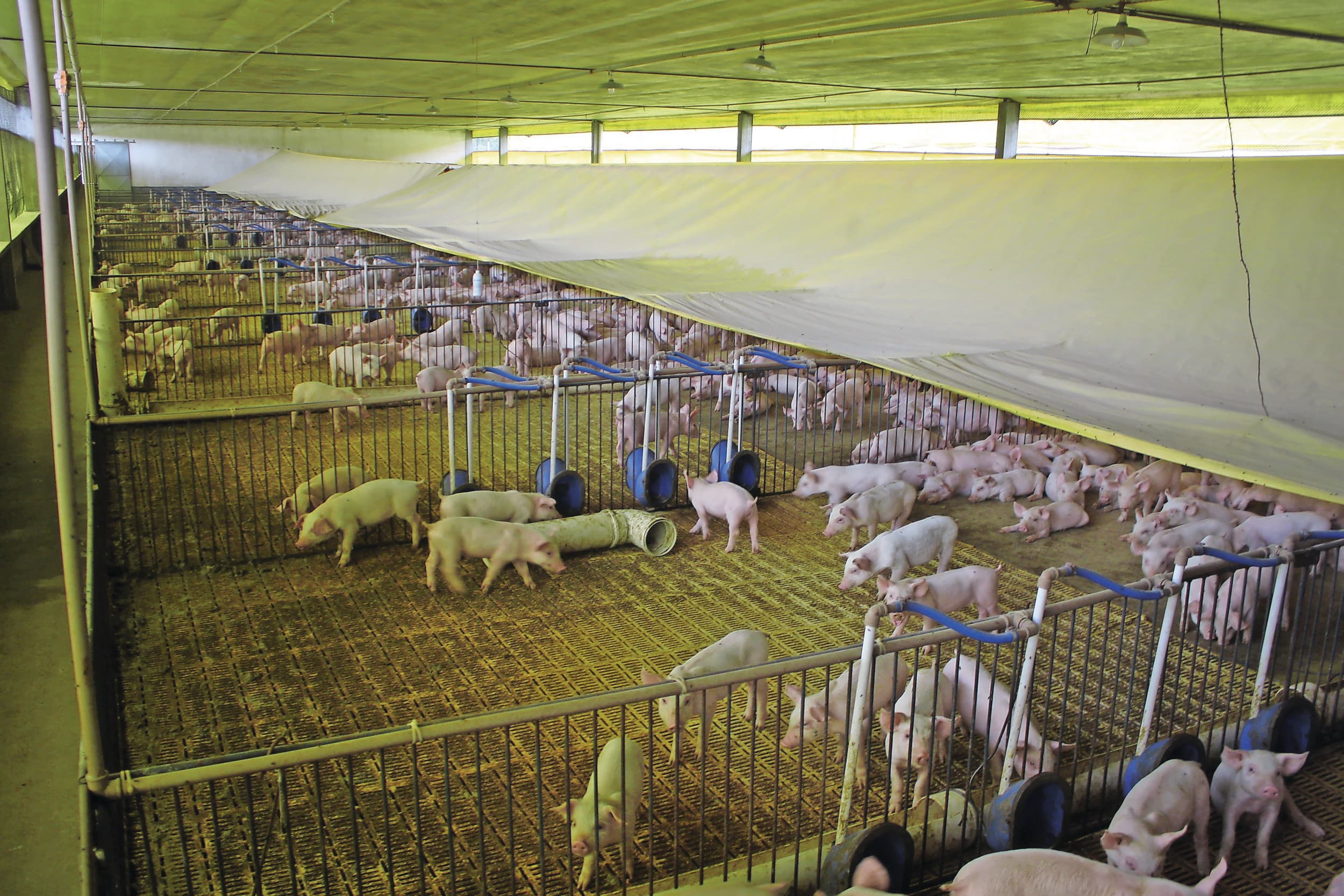 Mercosur handelsovereenkomst Europa