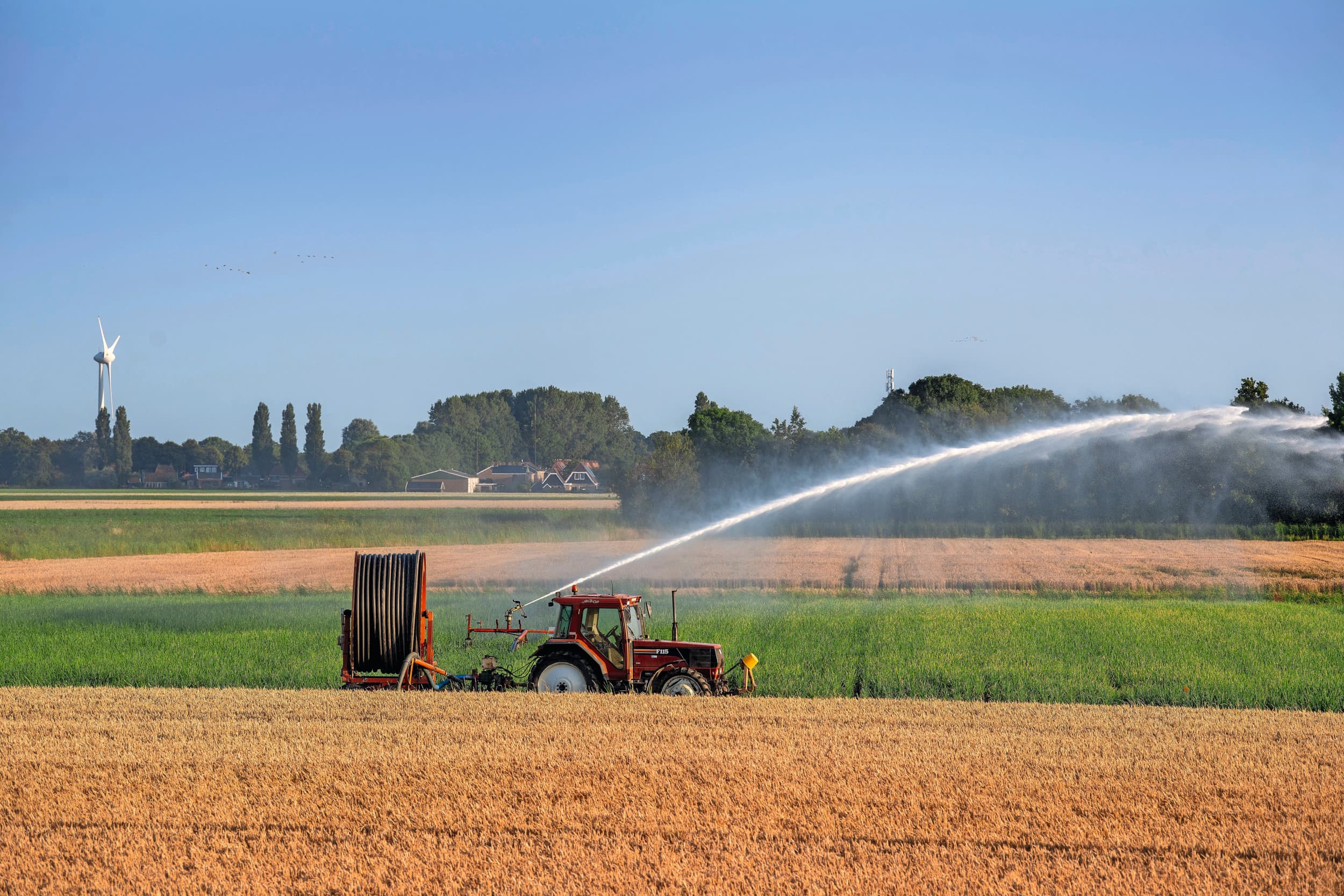 Ongeveer 30% van de boeren ziet hogere opbrengsten door sensoren, 35% ervaart betere kwaliteit, maar ruim driekwart van de deelnemers vindt opbrengstverschillen lastig aan één factor toe te schrijven door ras, bodem, weer en ziektedruk. Foto: Mark Pasveer