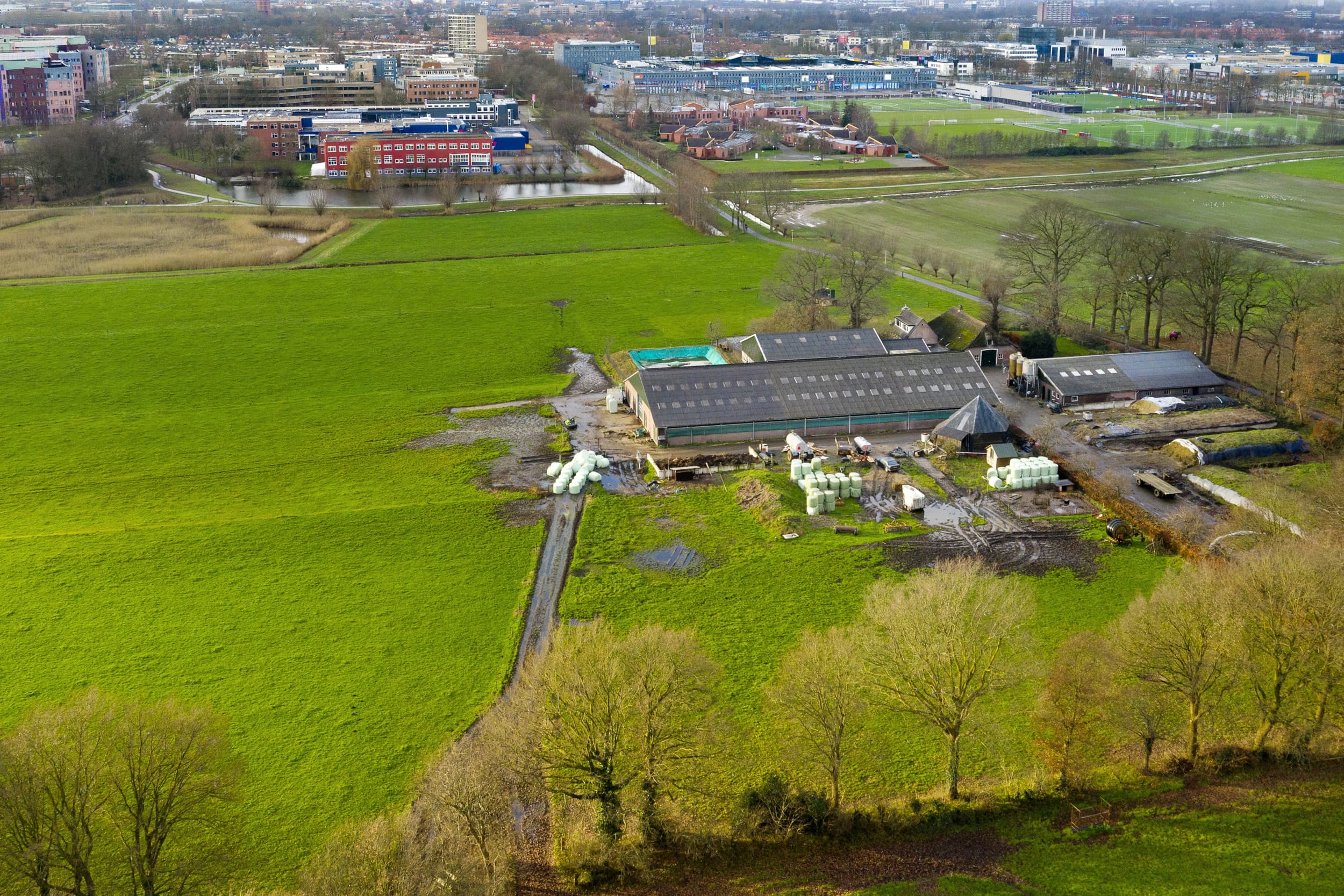Een melkveebedrijf aan de rand van stedelijk gebied, waar de afstand tussen stal en woningen onderwerp van discussie kan zijn. Archieffoto, ter illustratie. Foto: Ruud Ploeg