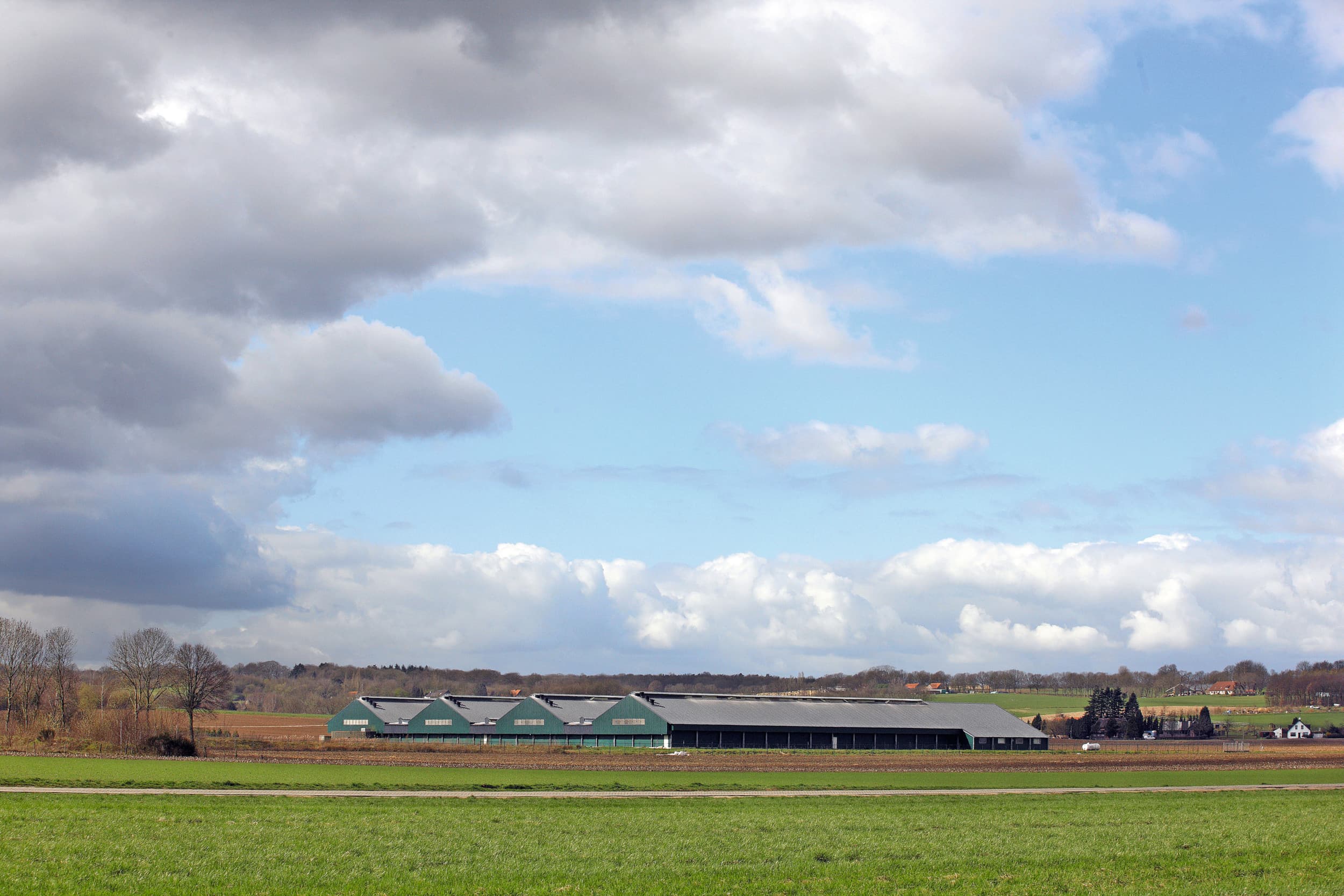 Geurproblematiek is niet nieuw in de veehouderij. Het in 2002 gebouwde leghennenbedrijf voor 300.000 kippen in Groesbeek stond jaren leeg omdat de Raad van State de vergunning vernietigde vanwege geurnomen. De locatie is inmiddels in gebruik als kinderwagenmuseum. Archieffoto: Hans Prinsen