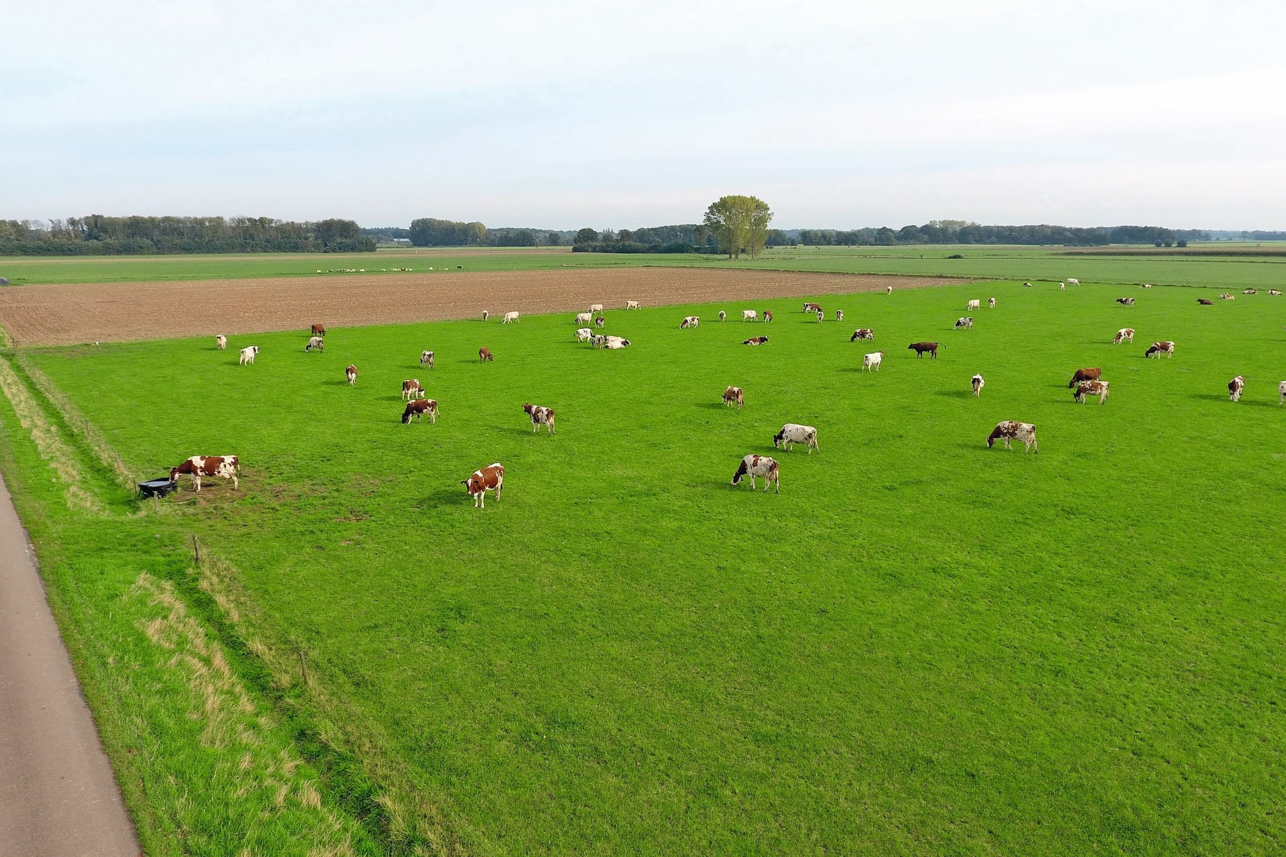 prijs grasland boven €100.000