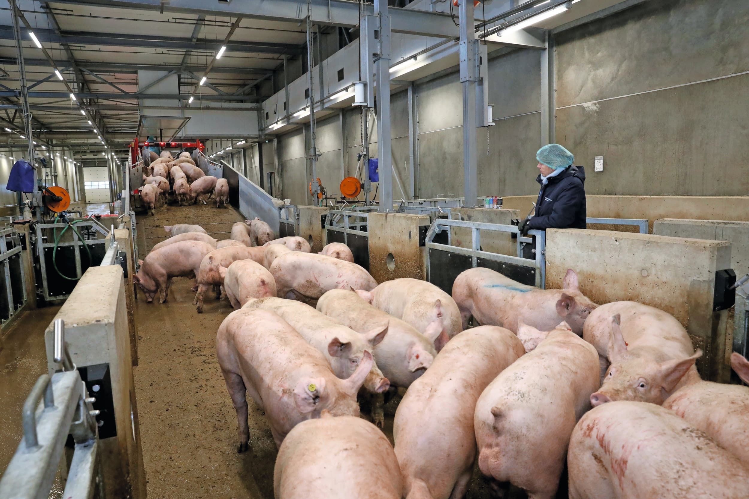 NVWA onder ministerie Justitie en Veiligheid