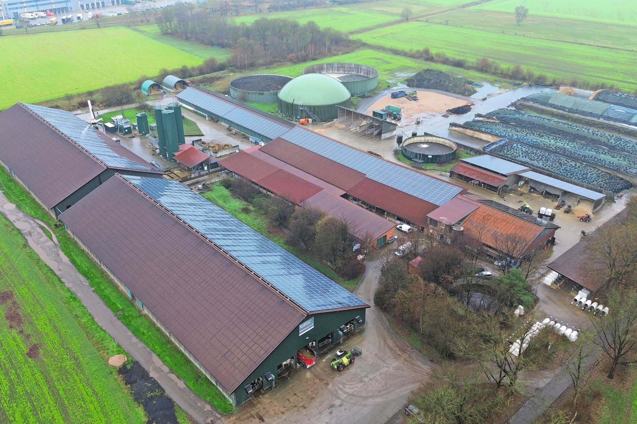 Het bedrijf is compact opgezet, maar kent een duidelijke scheiding van voeropslag en het deel waar de koeien worden gehouden. De grote melkveestal (links) is gesplitst in twee delen om niet onder de industriële regels voor brandgevaar te vallen en in een hogere klasse qua verzekeringspremie terecht te komen. Foto’s: Henk Riswick