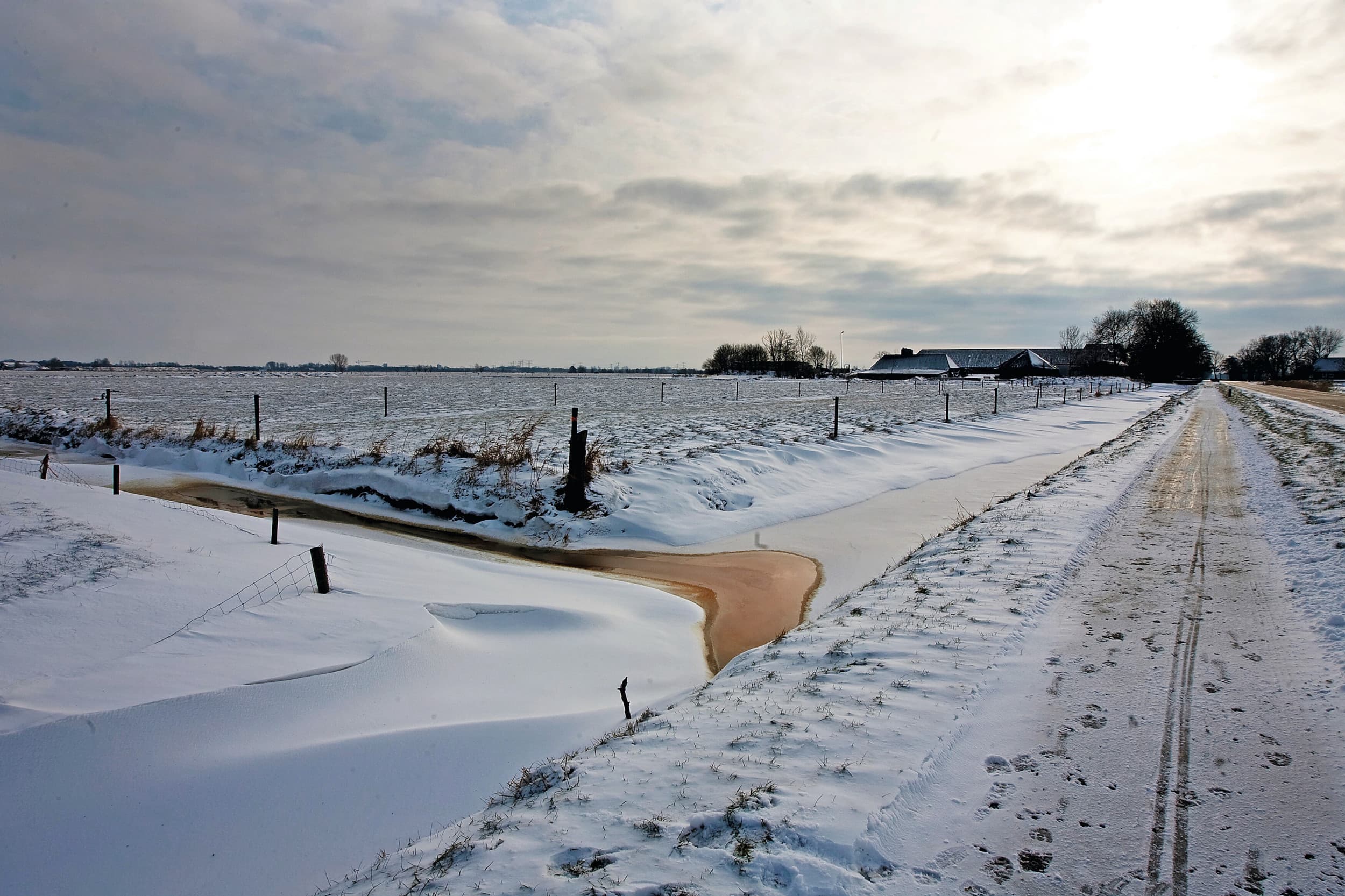 FrieslandCampina melk weglopen winters weer