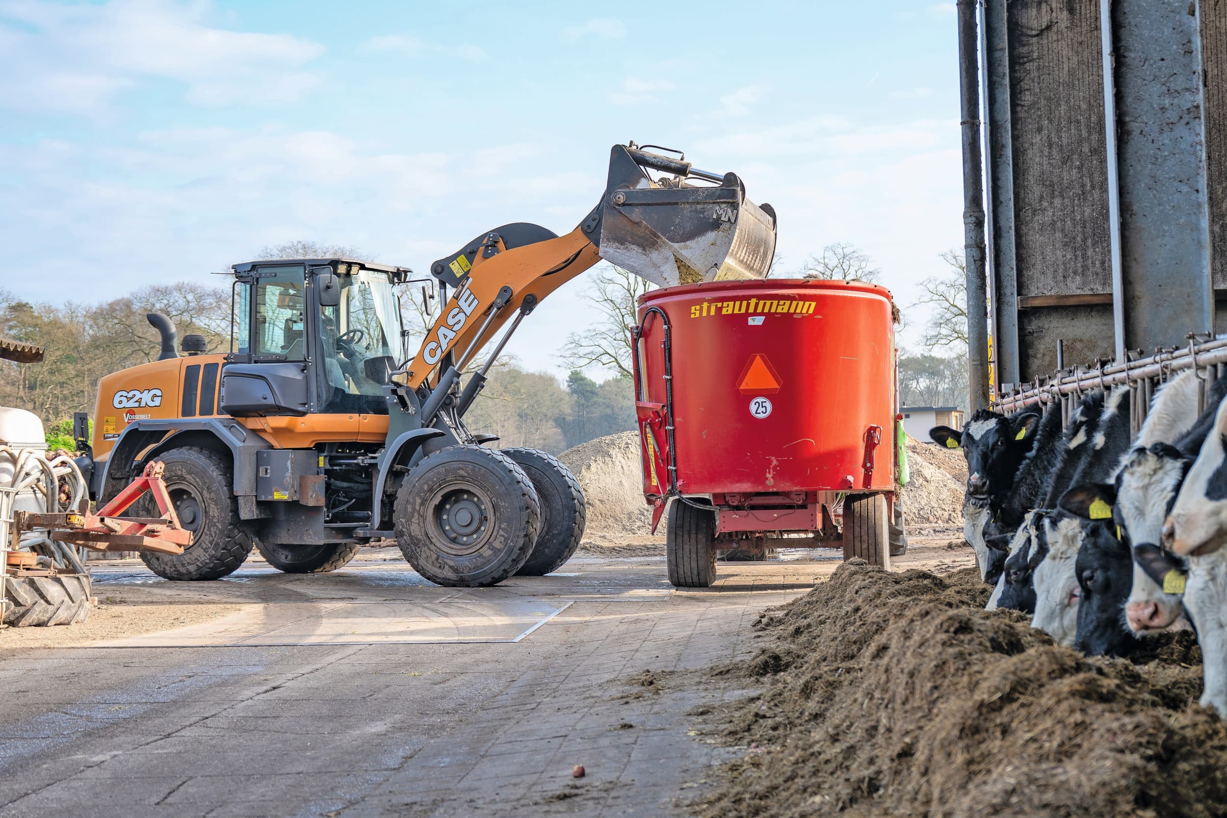 De gebroeders Vossebelt voeren hun koeien een TMR-rantsoen. De basis is eigen geteeld ruwvoer en ook eigen geteelde krachtvoerachtige producten zoals voederbieten, aardappelen en graan. Foto’s: Michel Velderman