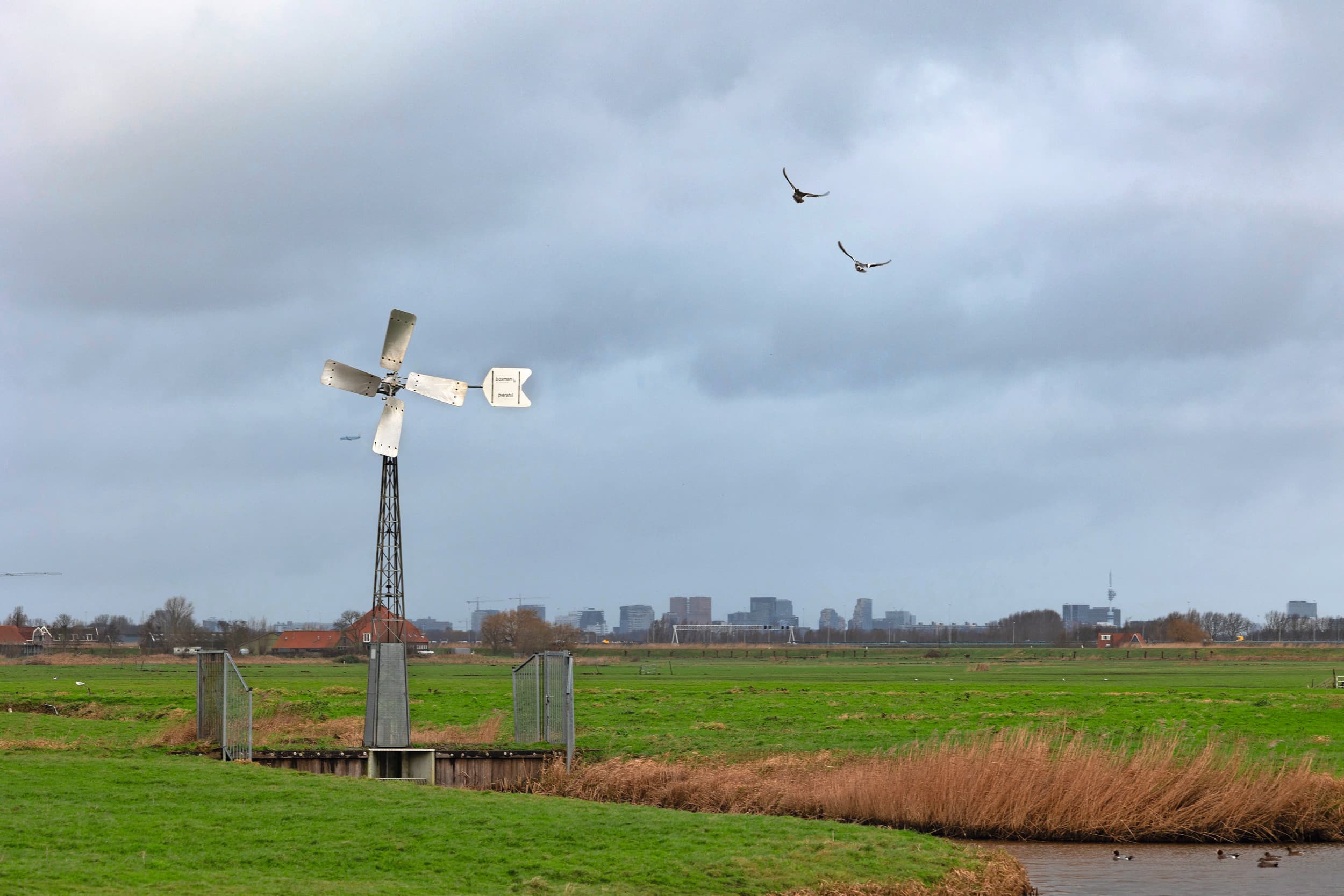 chaos in de wereld