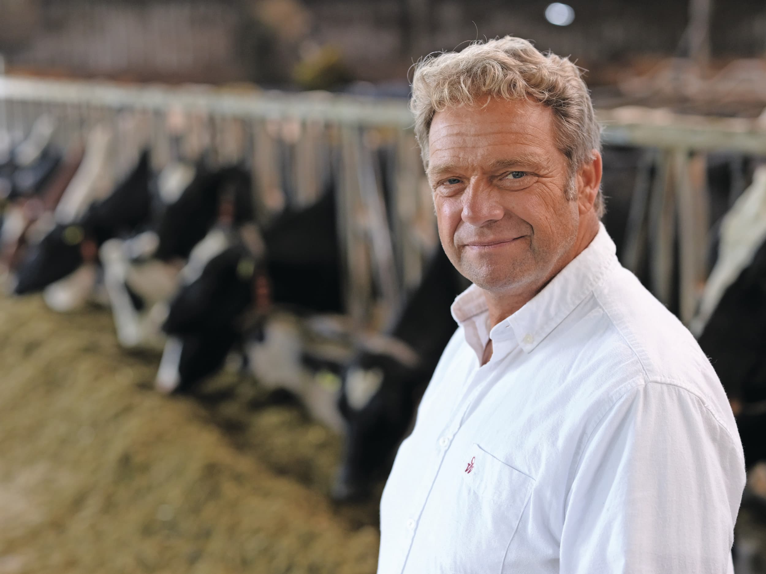 Rabobank ontwikkeling stagneert familiebedrijf veehouderij