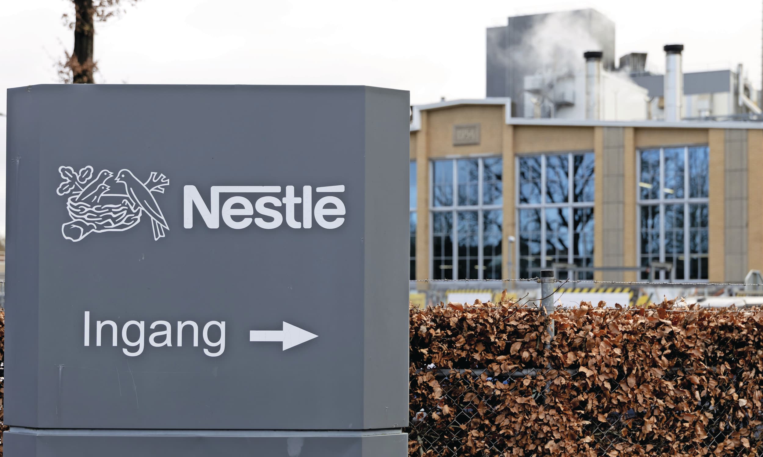 Nestlé ontdekte eind november de giftige stof cereulide in babyvoeding die geproduceerd is in Nunspeet. Foto: ANP