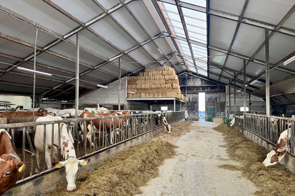 Het melkveebedrijf van familie De Looff bestaat uit stallen die zijn gebouwd in 1996.