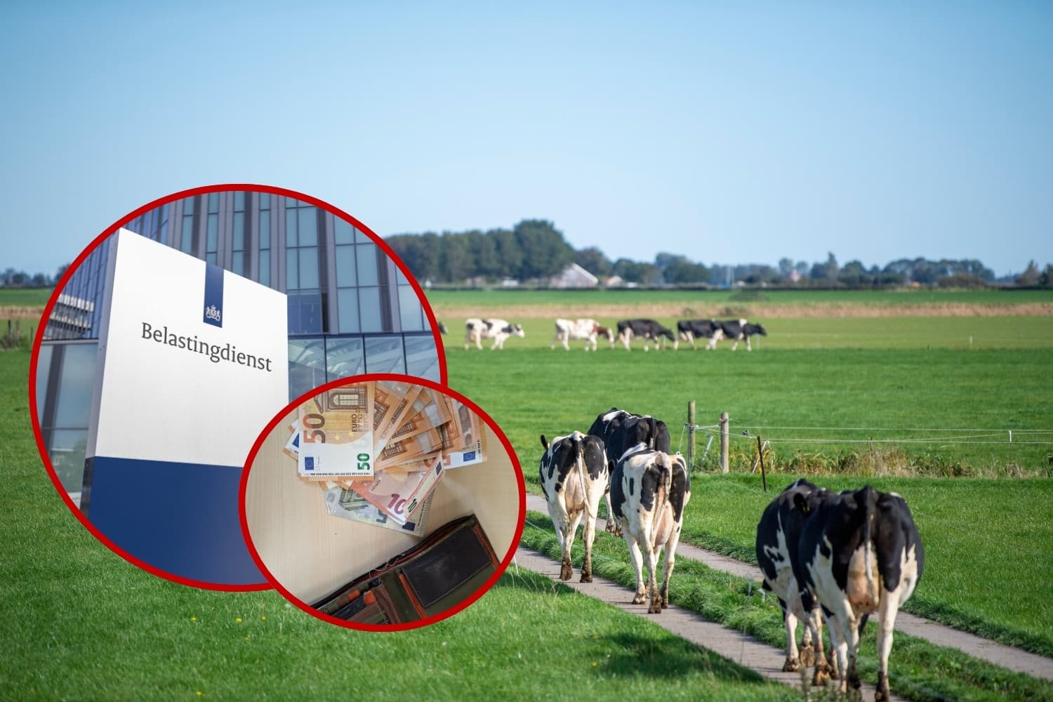 fatsoen wordt afgestraft belasting