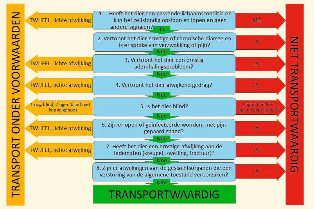 dierenwelzijn veetransport melkvee