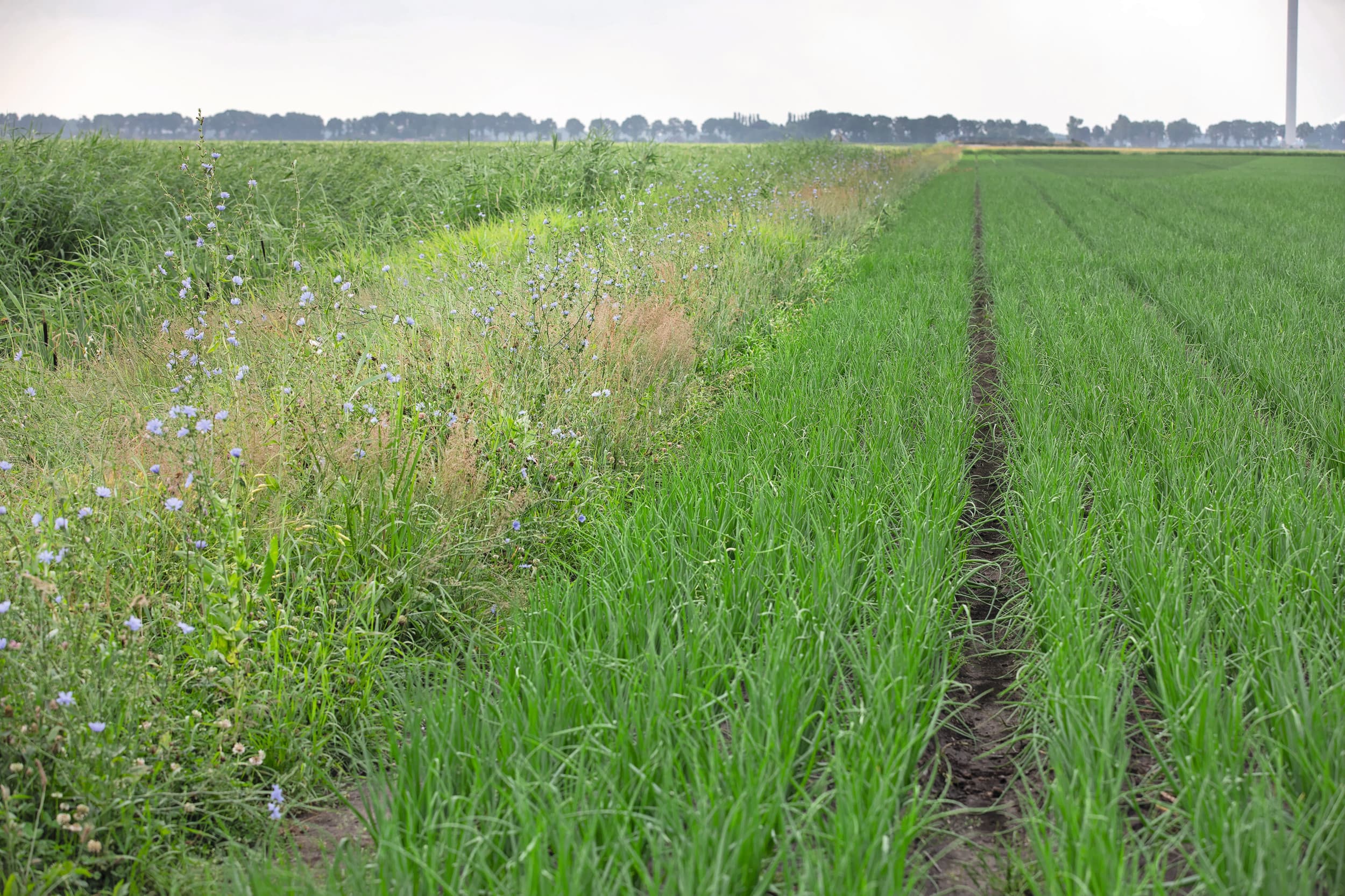 Thema’s als water- en bodemkwaliteit en biodiversiteit vragen om een integrale aanpak. Een productschap 2.0 is vooral een kans om het beste van toen te combineren met wat nú nodig is. Foto: Hans Banus