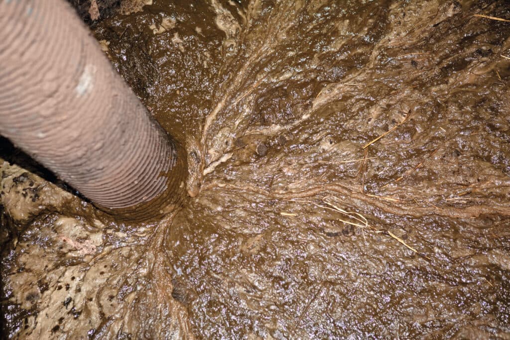 Wie bemonsterde mest moet afvoeren, doet er goed aan het juiste moment van bemonsteren te kiezen. Praktijkonderzoek toont aan dat mestmonsters vlot ontmengen. Dat beïnvloedt de N-waarde. Foto: Jan Willem Schouten