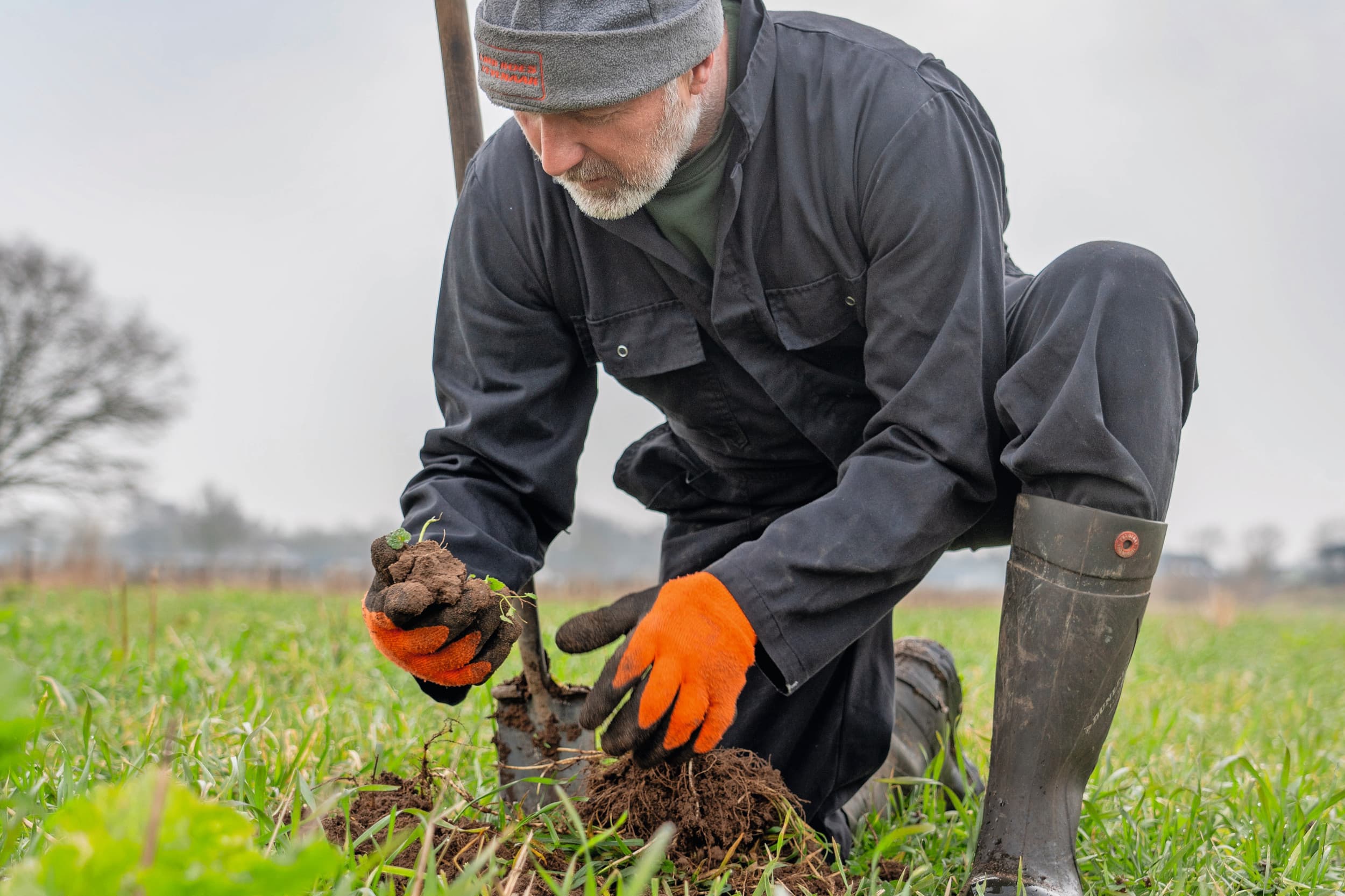 Theo Nieuwenhuis werkt zoveel mogelijk vanuit de bodem en probeert vooral de bodembiologie op peil te houden. Een rijk bodemleven zorgt er volgens de akkerbouwer voor dat de mineralen in de bodem goed beschikbaar komen voor het gewas. Foto's: Jan Willem Schouten