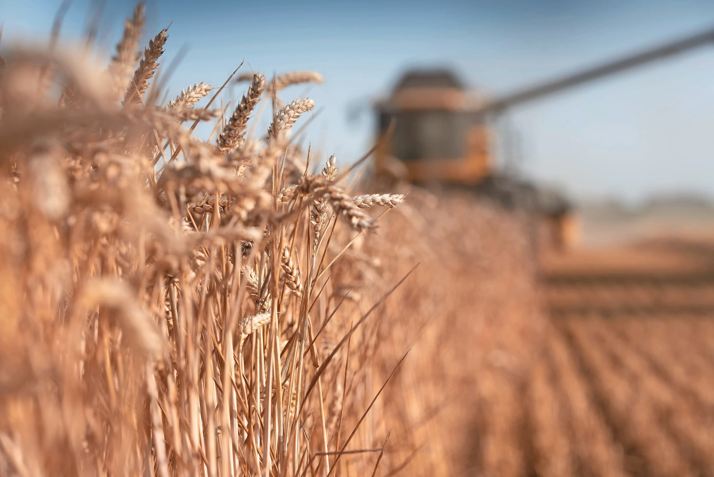 oorlog ontregelt handel landbouw