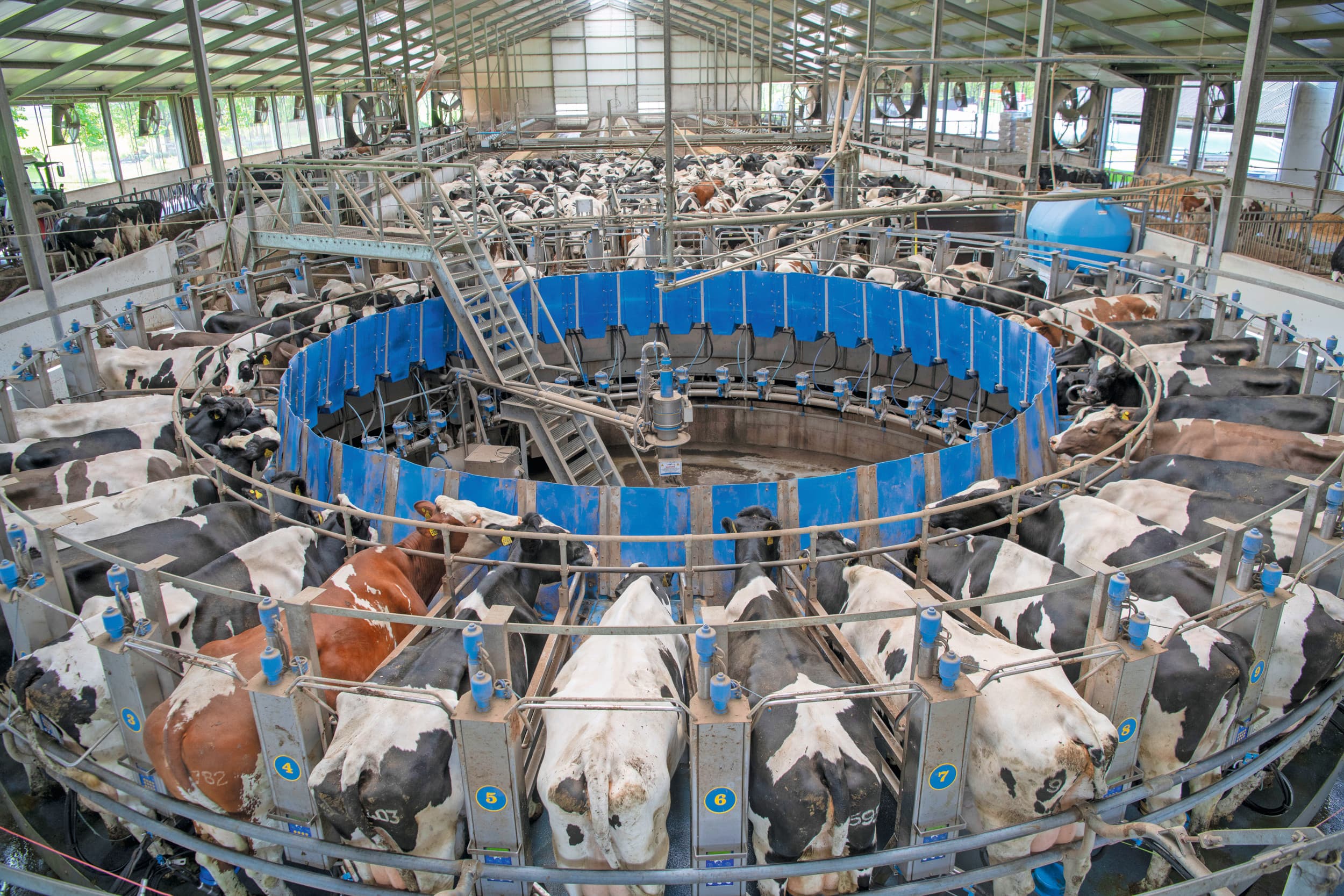 ZuivelNL productschap