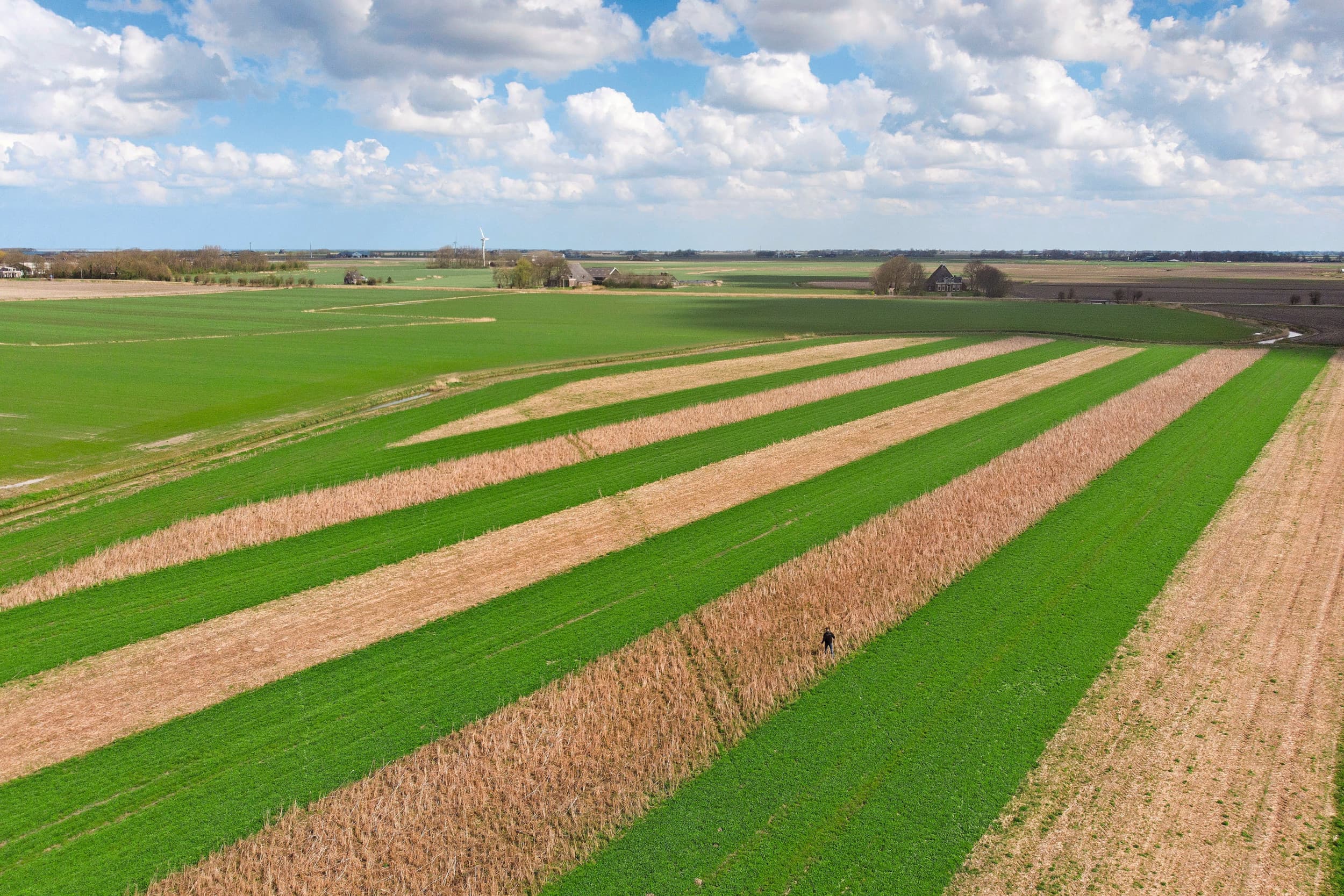 Of je in het Noordelijk Friese akkerbouwgebied zit of in de melkveehouderijregio’s maakt flink verschil in grondprijs. Foto: Mark Pasveer