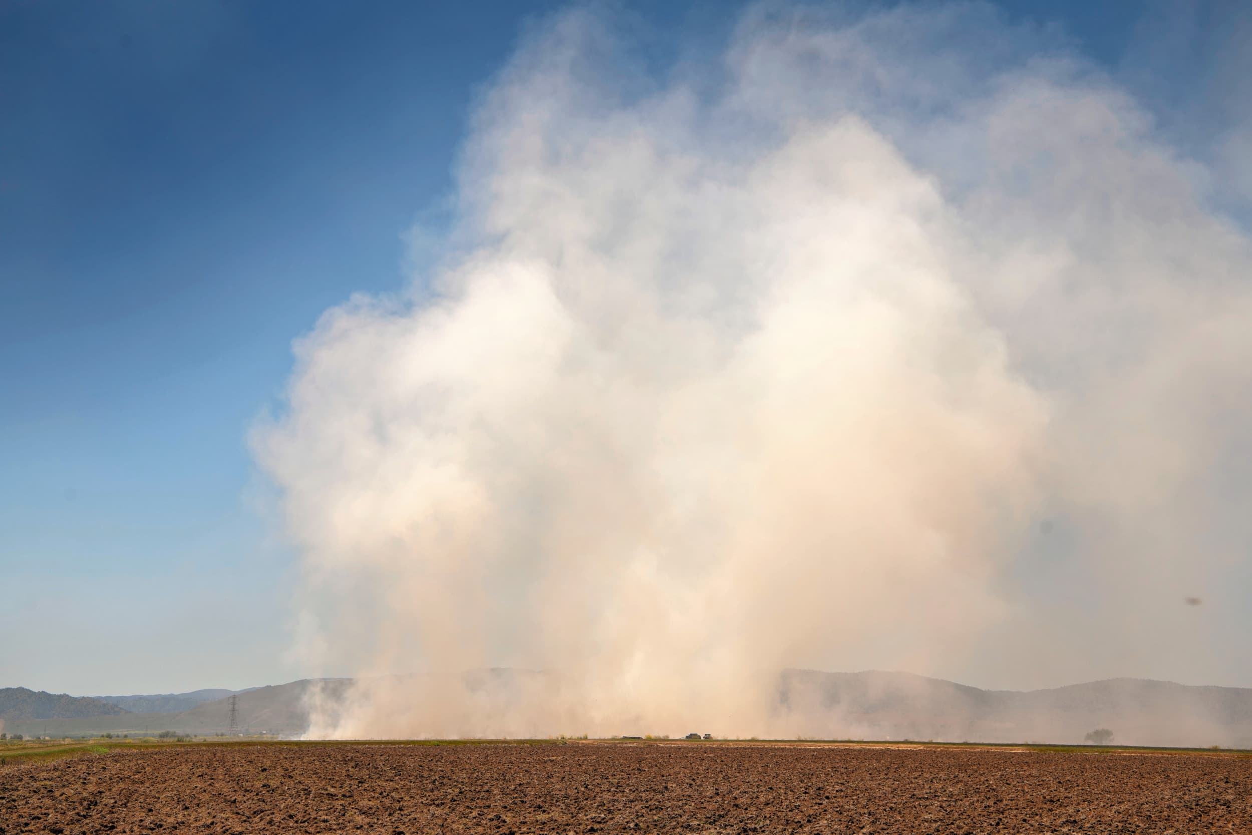 Stofwolk in Californië. Foto: Mark Pasveer