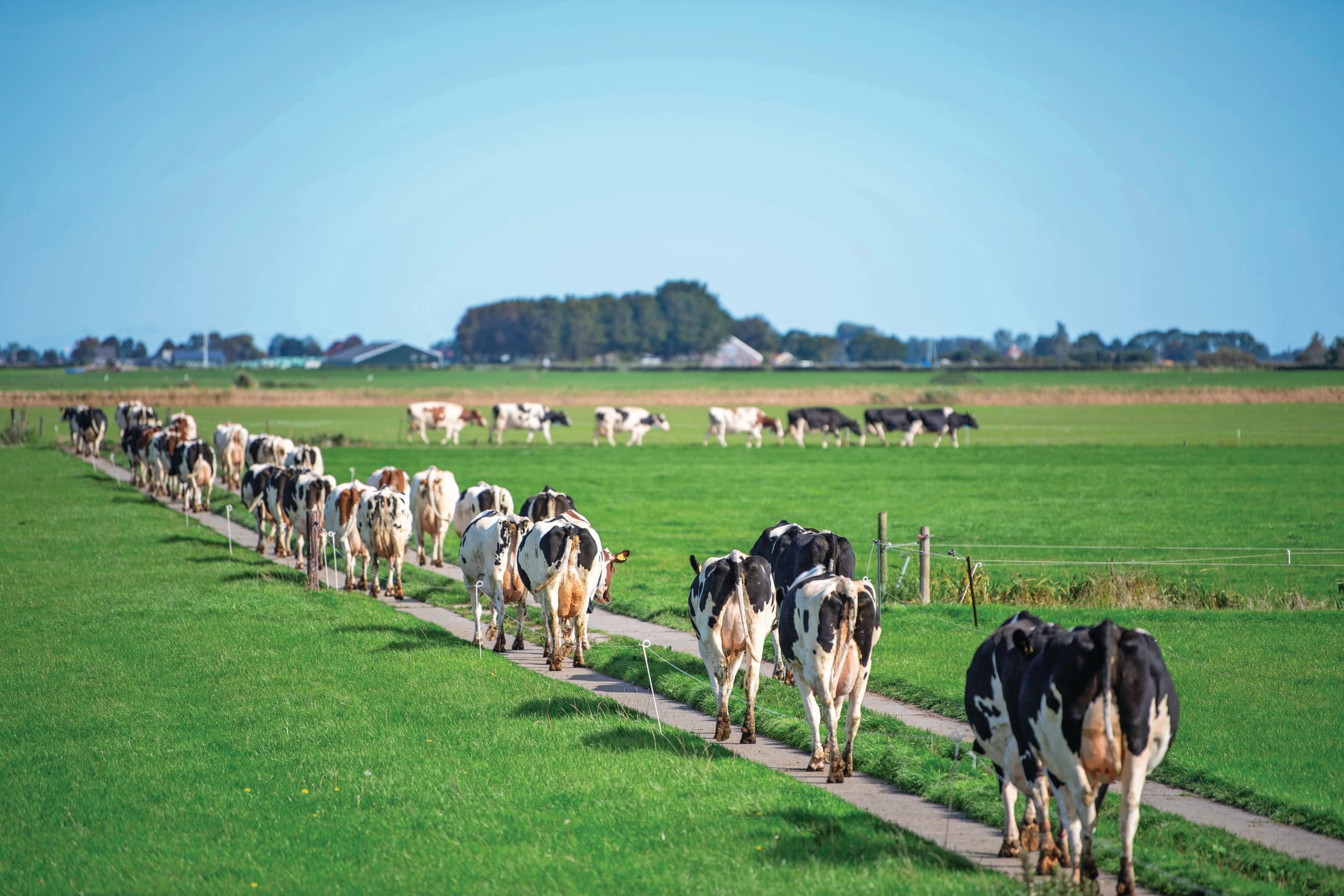persoonlijk stikstofoverleg met boeren