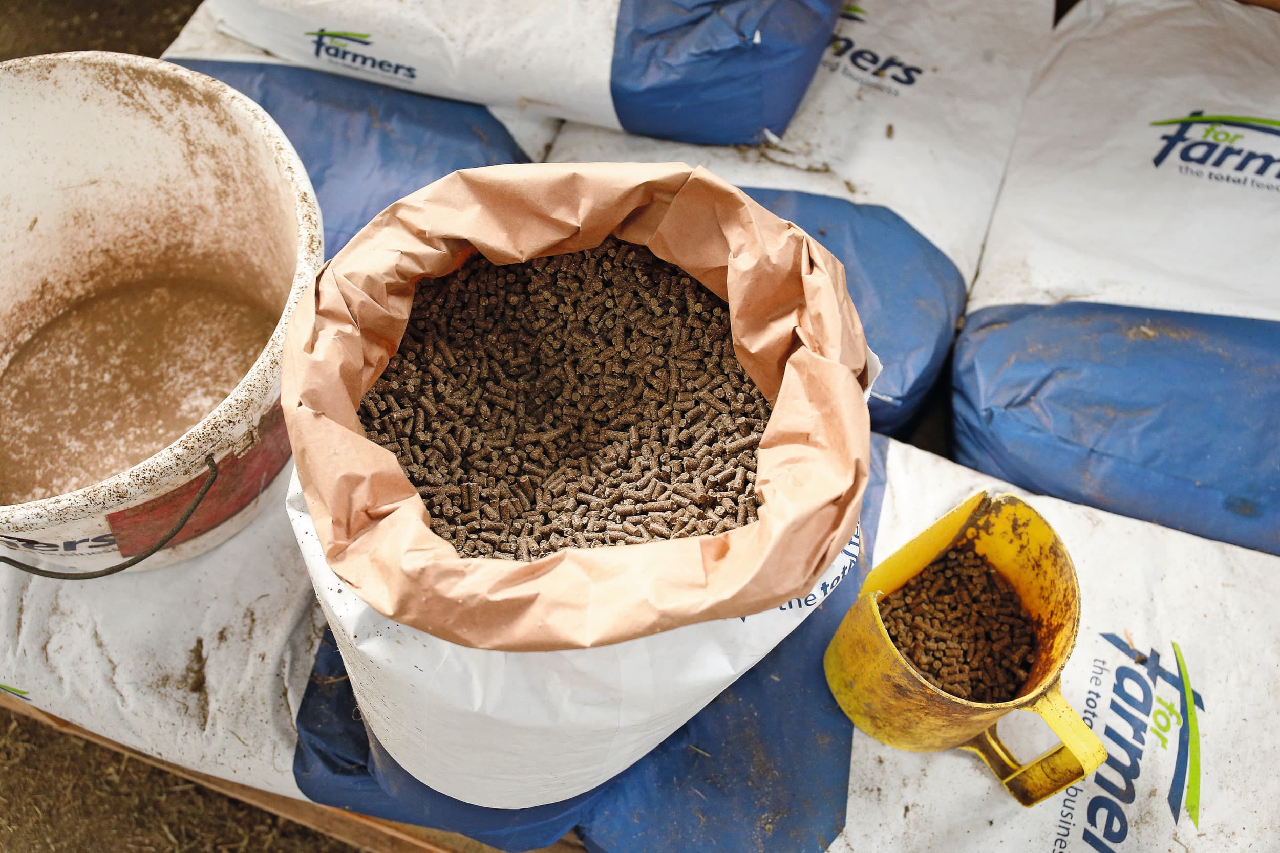 ForFarmers zegt in Nederland marktaandeel te hebben gewonnen. Foto: Hans Prinsen