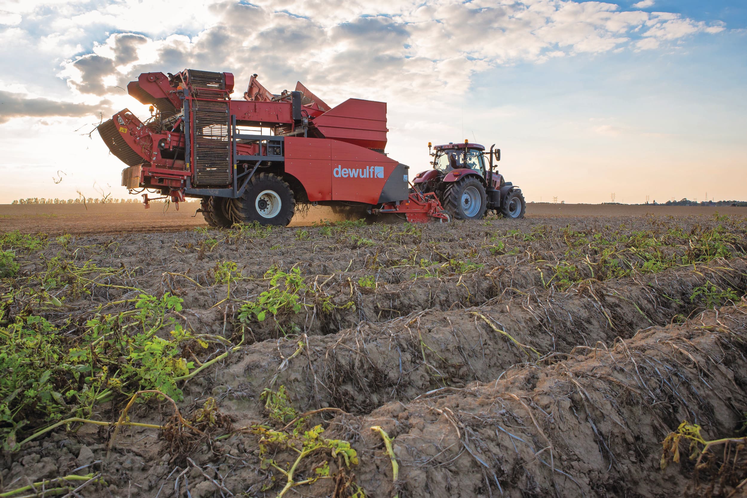 Franse aardappeltelers contracten 2026-2027