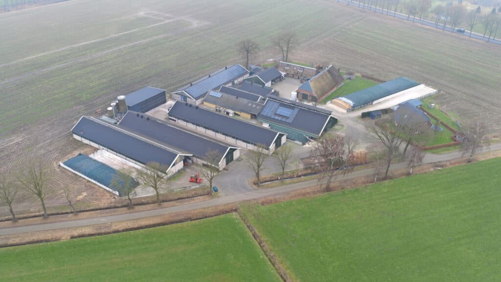 De kalverhouderij van de familie Reimert. Elke zes weken wordt een nieuwe groep jong rosékalveren opgezet.