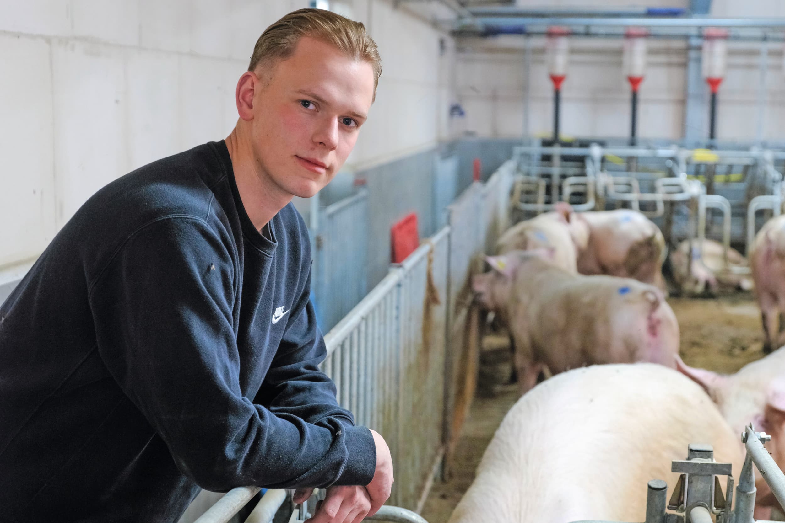 Luca Bütter (22) studeert komende zomer af als Landwirtschaftsmeister en wil graag verder boeren op het familiebedrijf met meerdere takken: varkens, akkerbouw en biogas. Foto’s: Jan Willem van Vliet