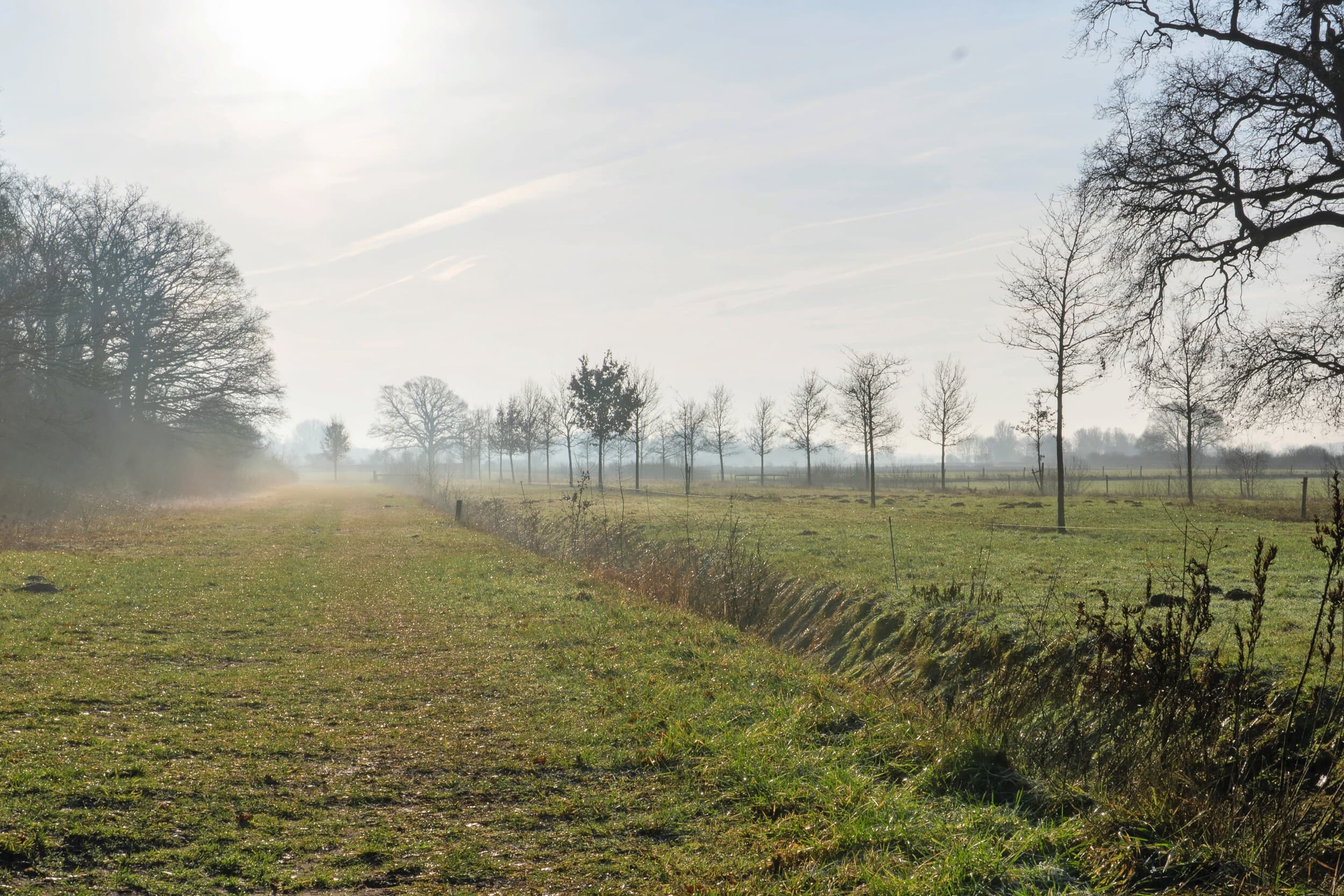 Vanaf 2027 is er in ieder geval €365 miljoen beschikbaar voor agrarisch natuurbeheer. Foto: Michiel Eberwijn