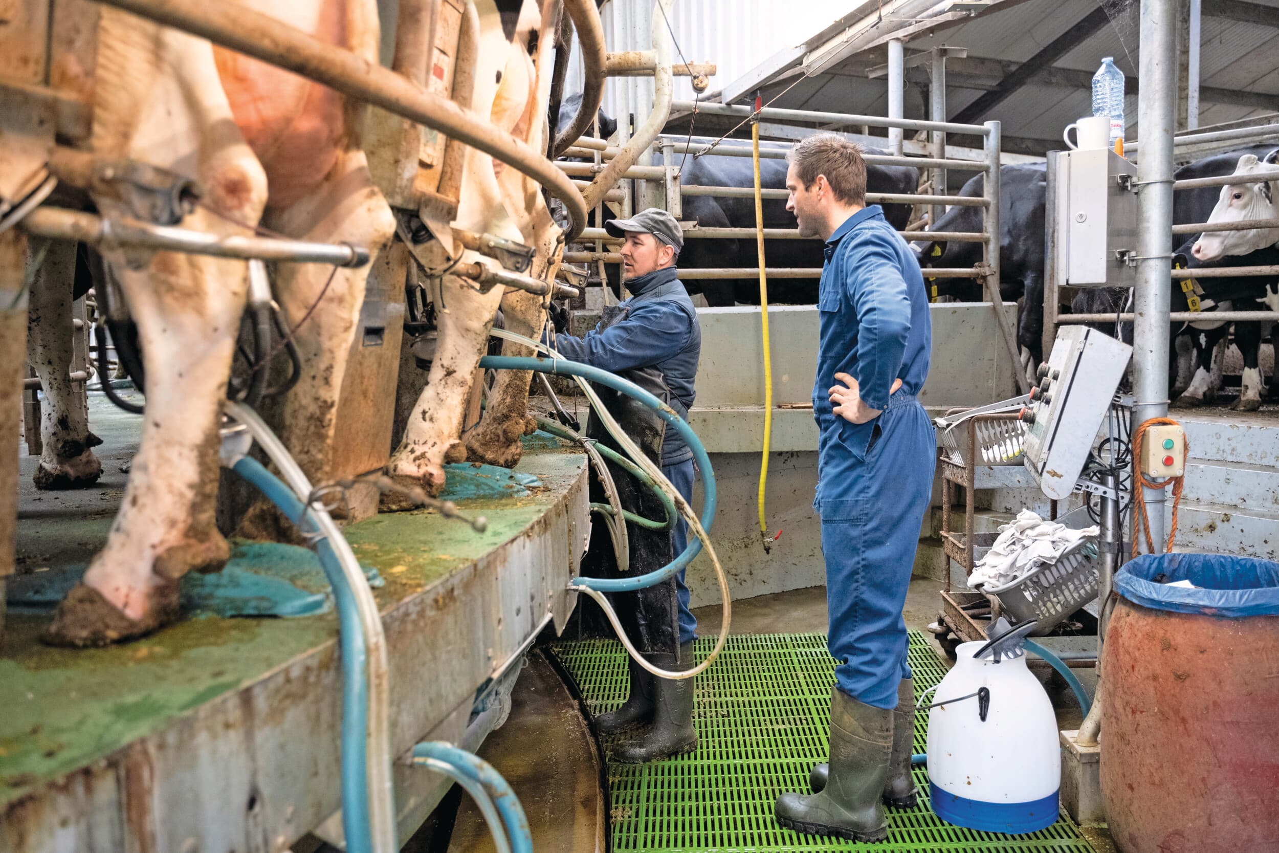 Een van de managementmaatregelen waarmee Teun Wientjes de ammoniakemissie wil beperken, is het verlagen van het ureumgehalte in de melk van 21 naar 18. Mooie bijkomstigheid is dat hij dan ook 400 kuub mest minder hoeft af te voeren. Foto's: Bram Becks Fotografie