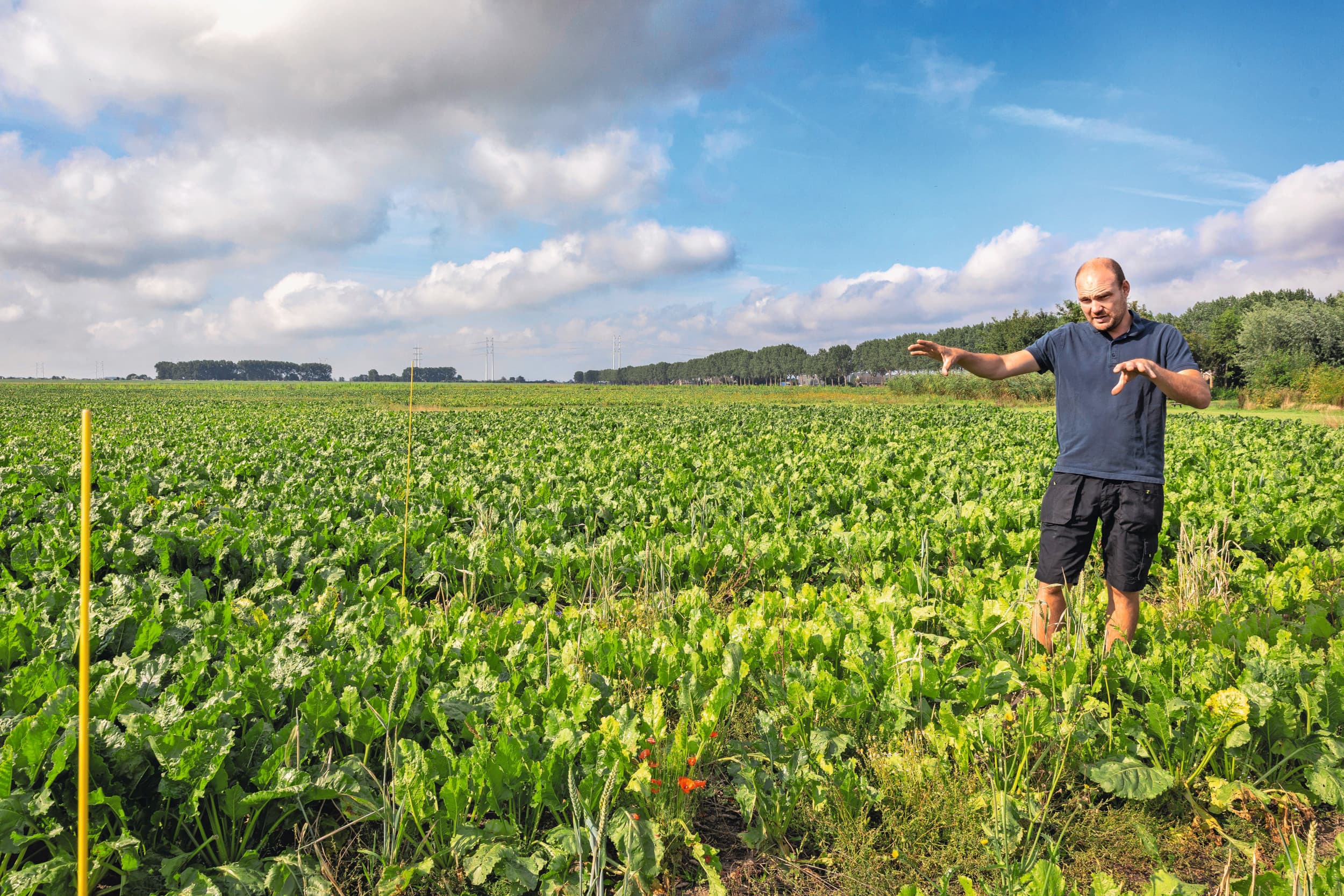Akkerbouwers maken zich zorgen over het steeds kleinere middelenpakket en het gebrek aan volwaardige alternatieven in de teelt. Daardoor nemen de risico’s voor gewassen en opbrengst toe. Bayer zet in op innovatie, maar waarschuwt tegelijk voor de toenemende druk op telers. Foto: Roel Dijkstra