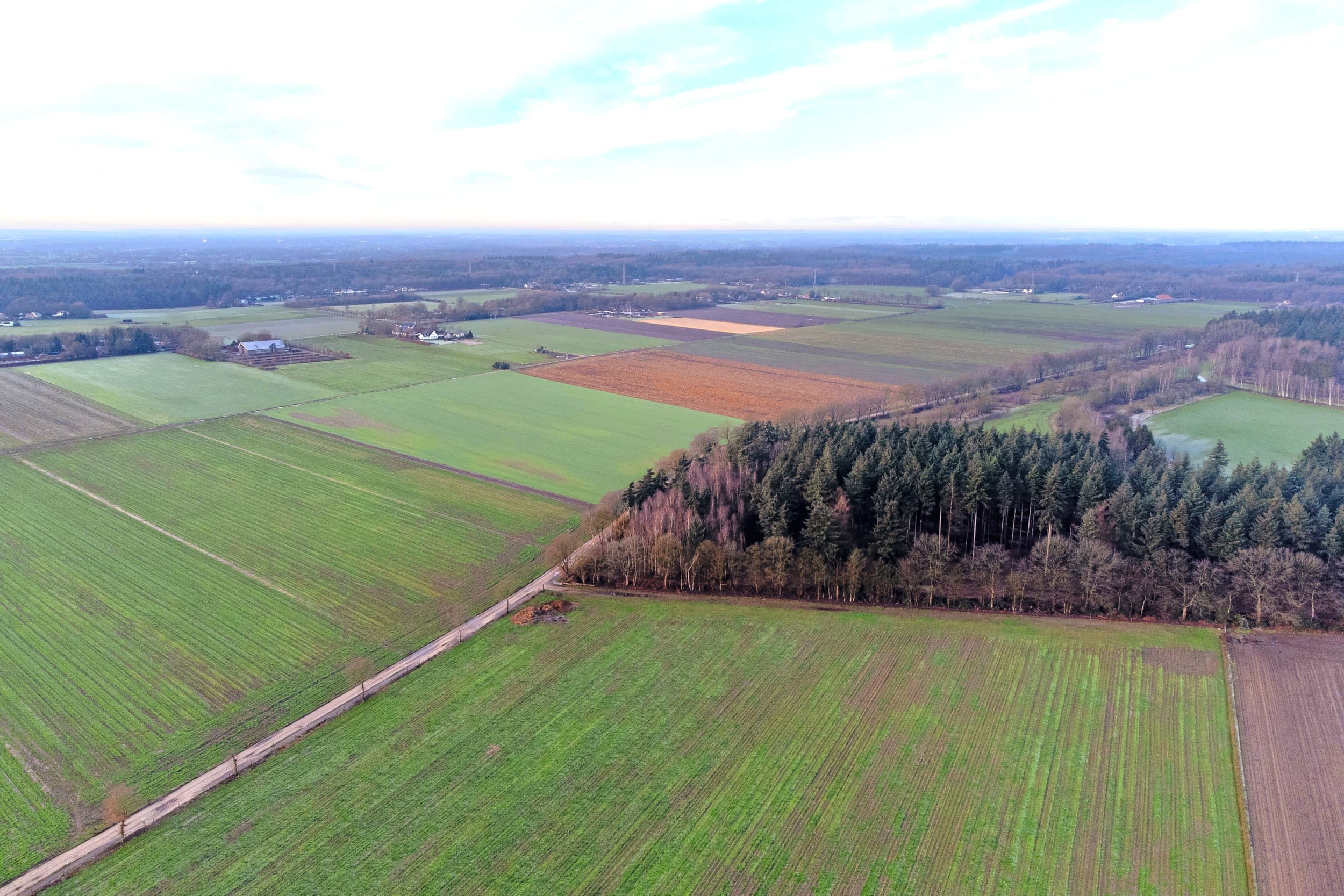 De provincie Gelderland wil op termijn latente stikstofruimte intrekken van bedrijven die nooit van start zijn gegaan of zijn gestopt. Foto: Herbert Wiggerman