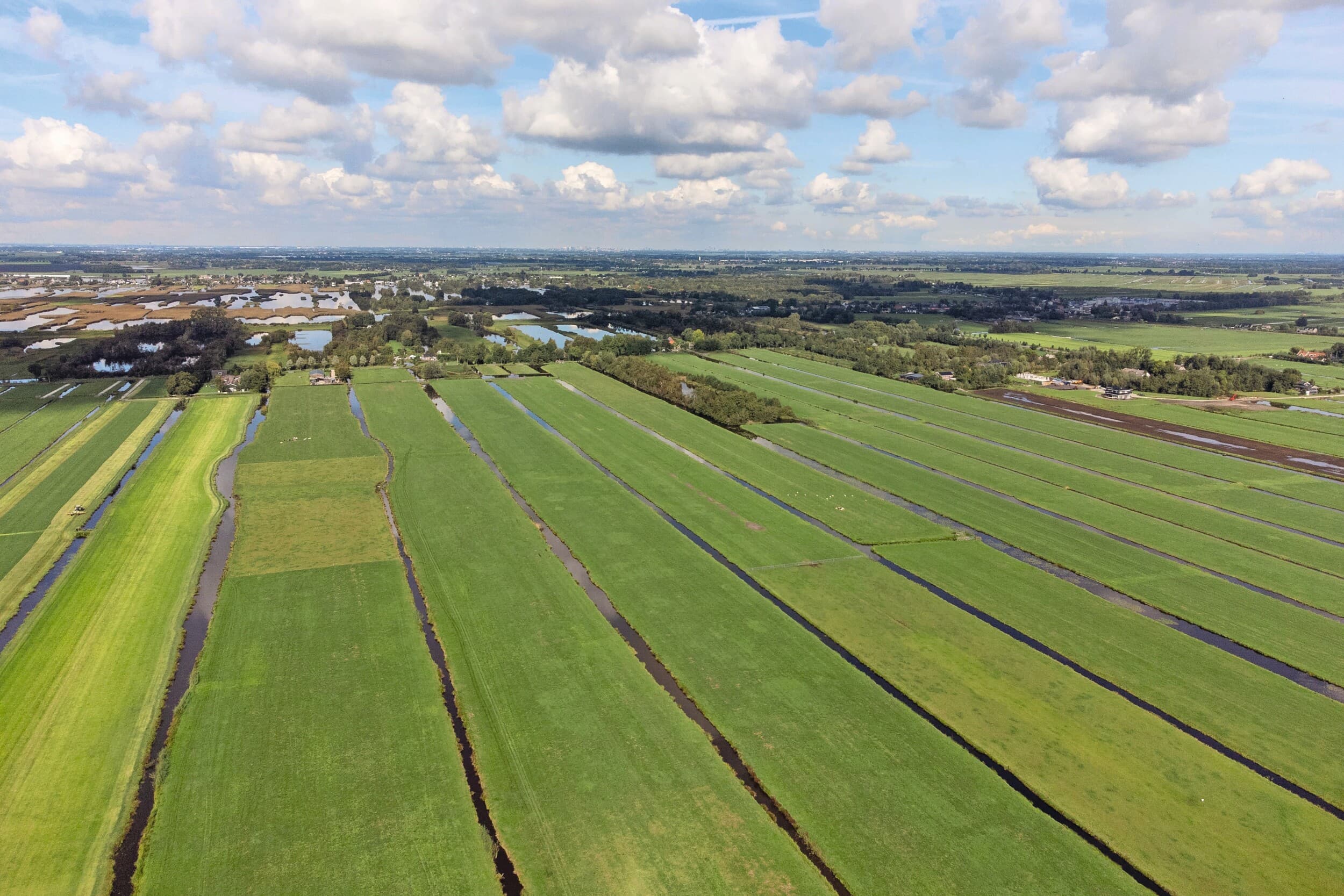 Wetenschappers zien een uitweg uit de stikstofcrisis. Door milieukundige, ecologische en juridische pijlers te scheiden ontstaat ruimte voor beleid en vergunningen. Foto: Herbert Wiggerman