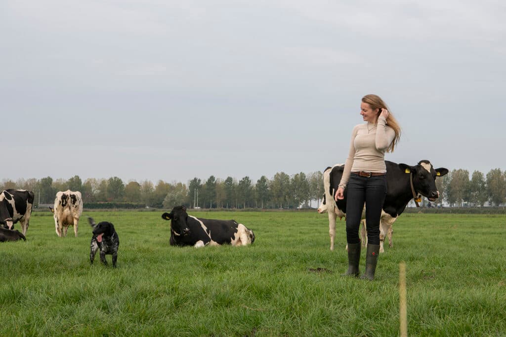 Lisette in 't Hout: "Omdat we beweiden, is ons fokdoel afgestemd op koeien die breder en in balans zijn."