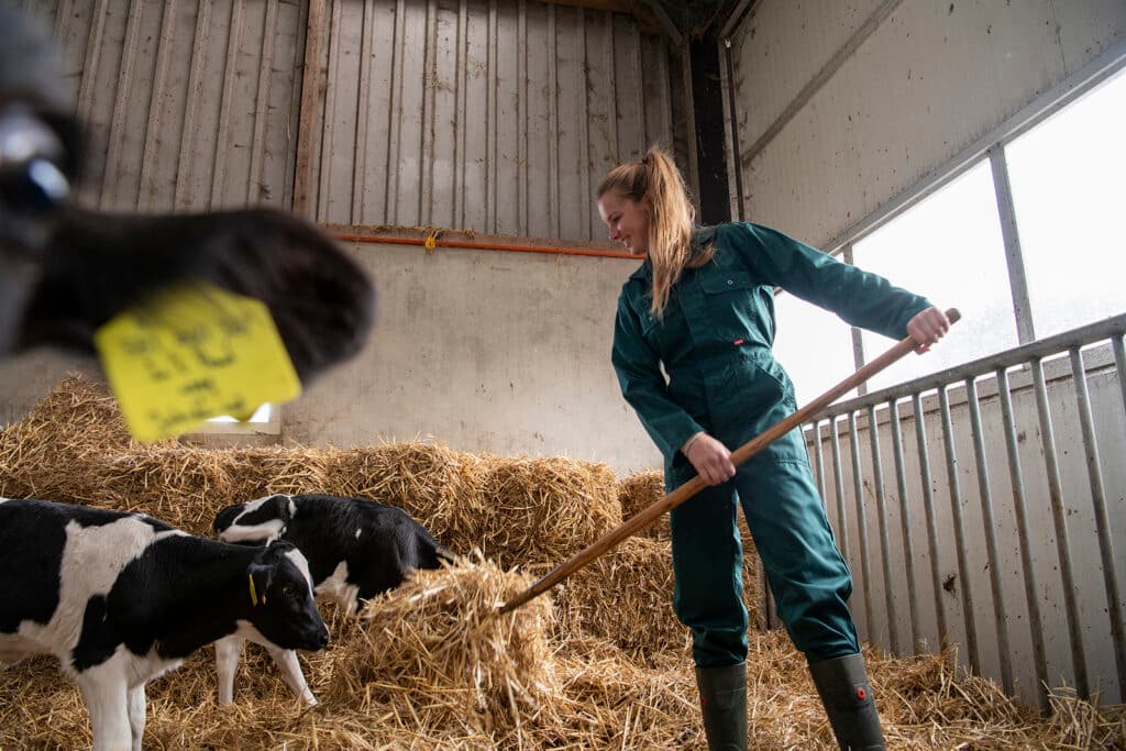 Lisette in 't Hout: "Het is mooi om als jonge boer mee te kunnen bouwen aan iets dat groter is dan jijzelf."