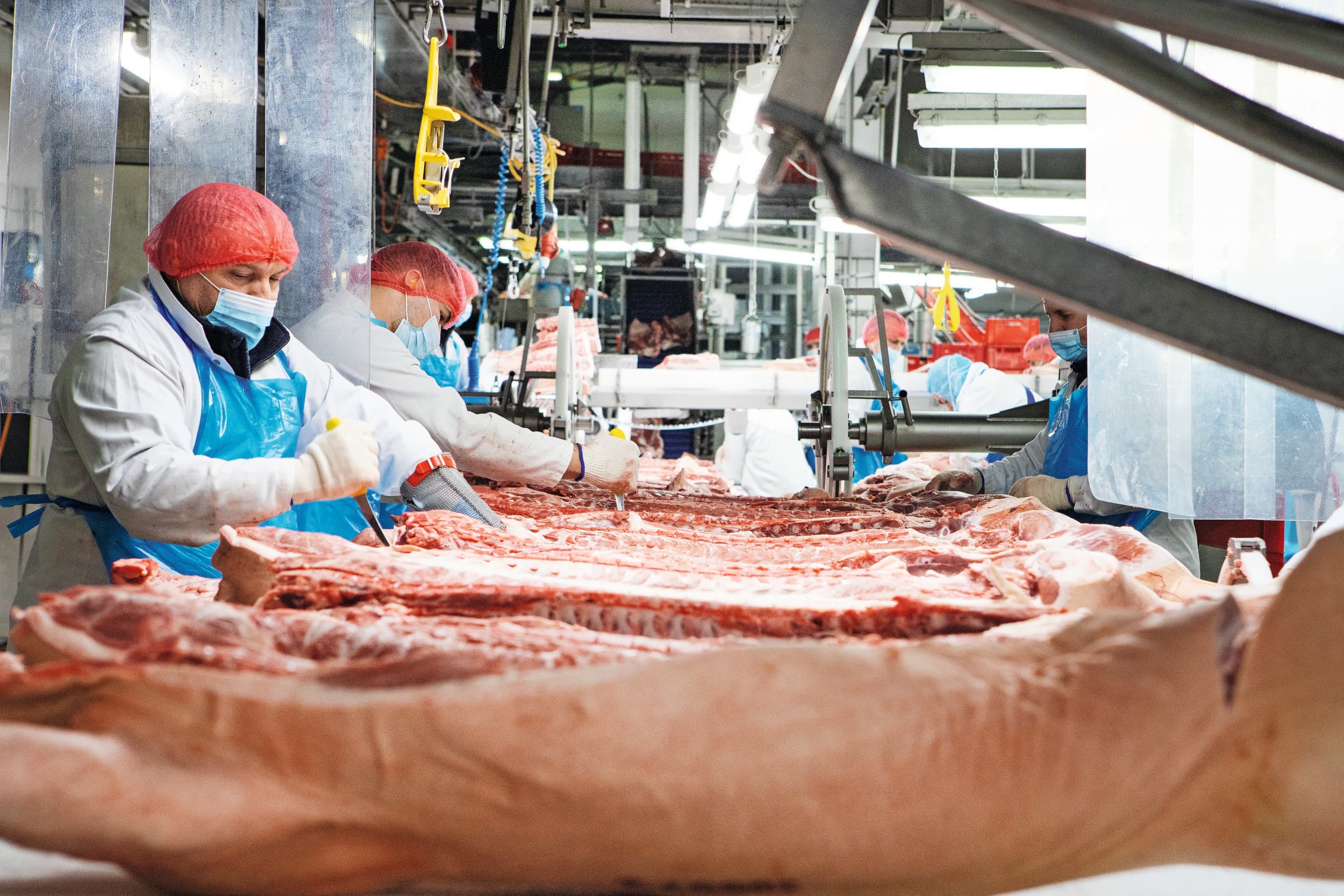 Slachterij in Coesfeld. Westfleisch heeft drie slachterijen die samen 150.000 varkens per week kunnen slachten. Na modernisering is de capaciteit 185.000 varkens per week. Daarmee is Westfleisch flexibeler en beter in staat pieken op te vangen. Foto: Westfleisch