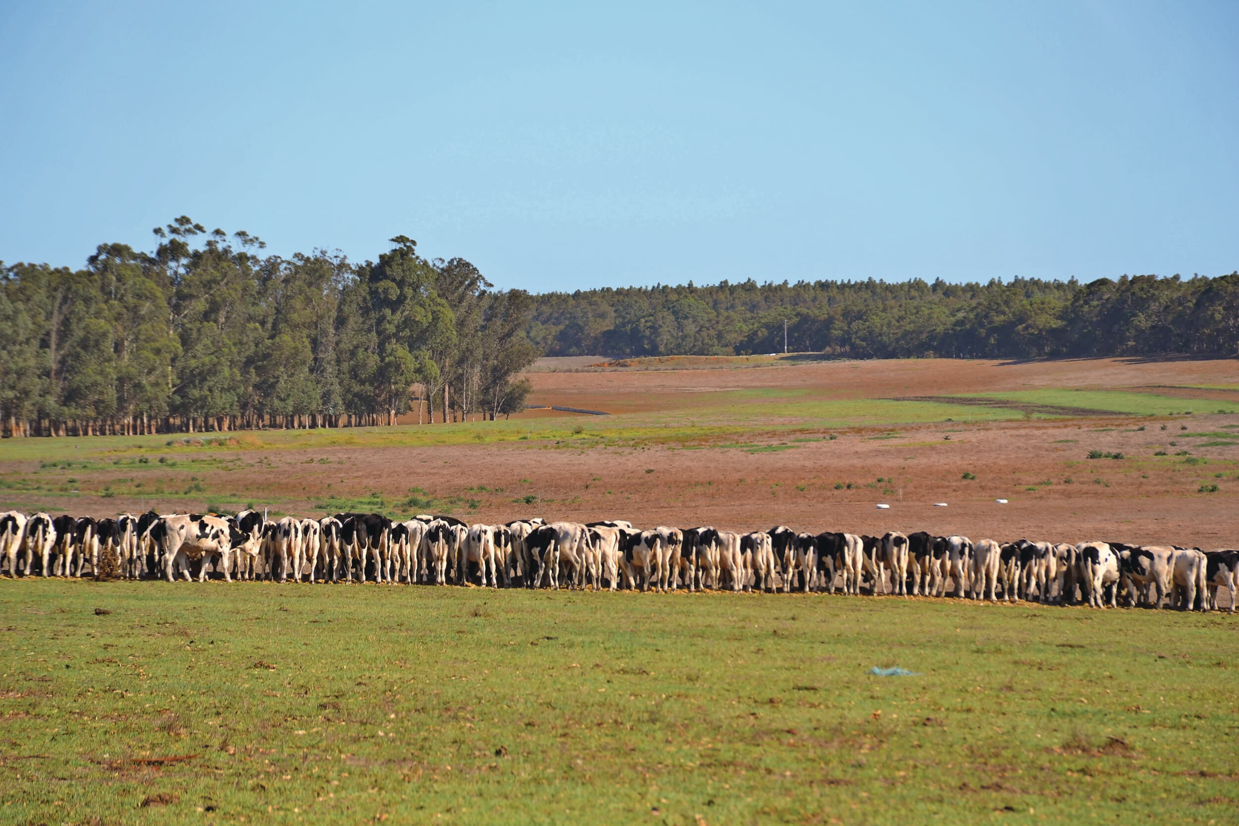 handelsakkoord EU-Australië landbouw kritiek