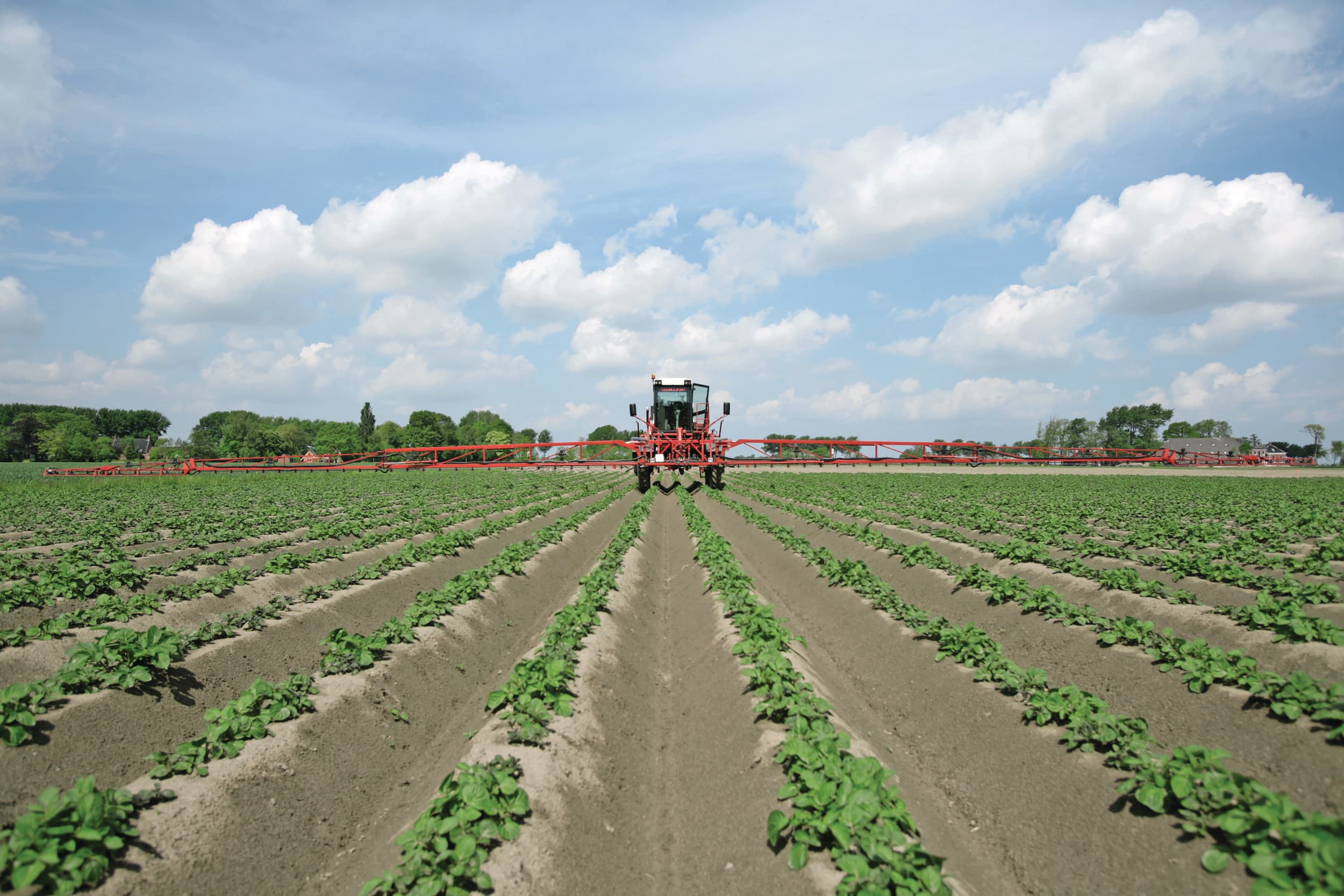 Sencor zorgde jarenlang voor een schone aardappelrug. Het middel pakte kiemende onkruiden vroeg aan, waardoor het gewas een schone start kreeg en telers in het voorjaar veel zorgen uit handen nam. Foto: Koos Groenwold