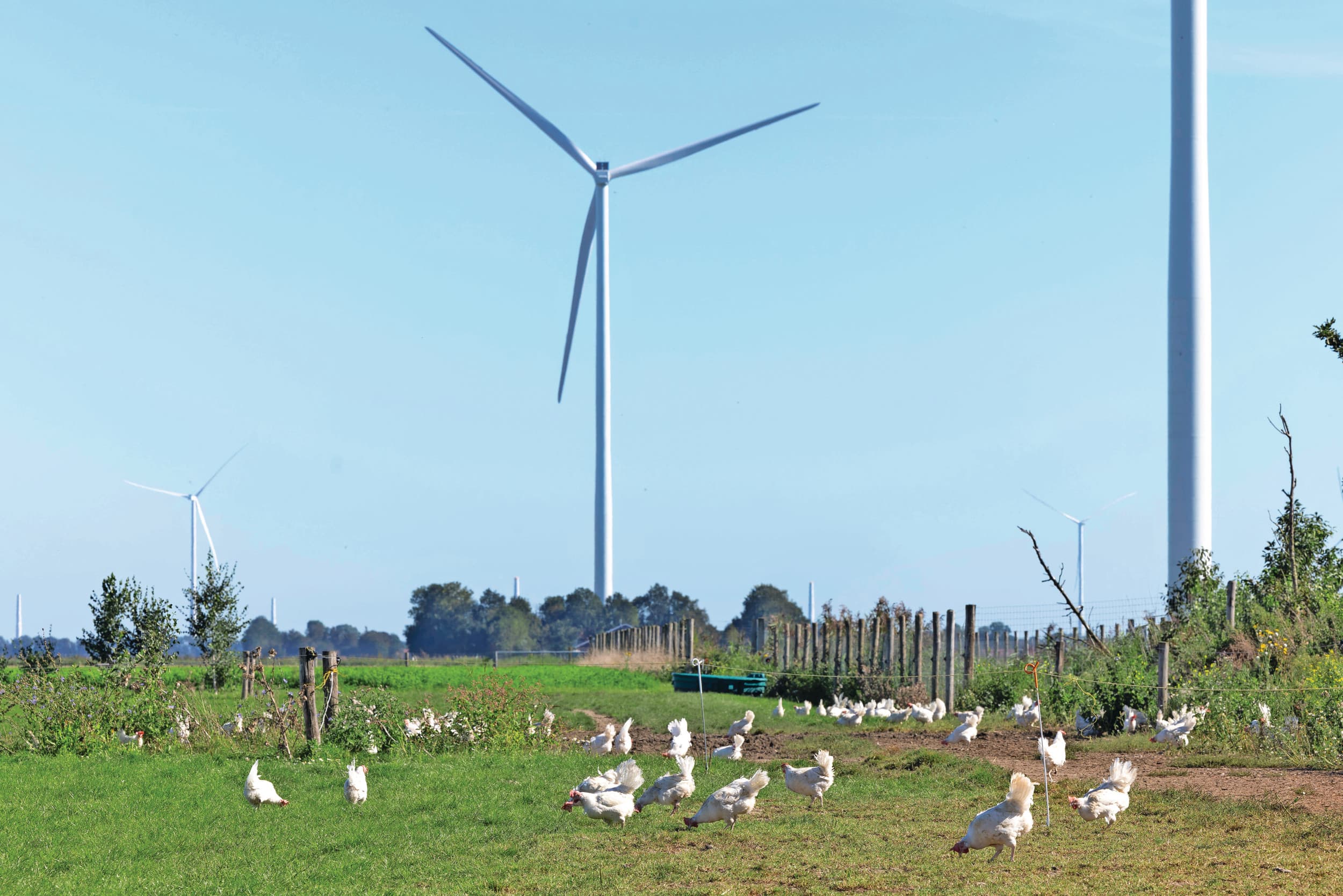 Vakbond voor Plattelandsbewoners wil een wet die geluiden, geuren en vergezichten beschermt. Foto: Koos Groenewold