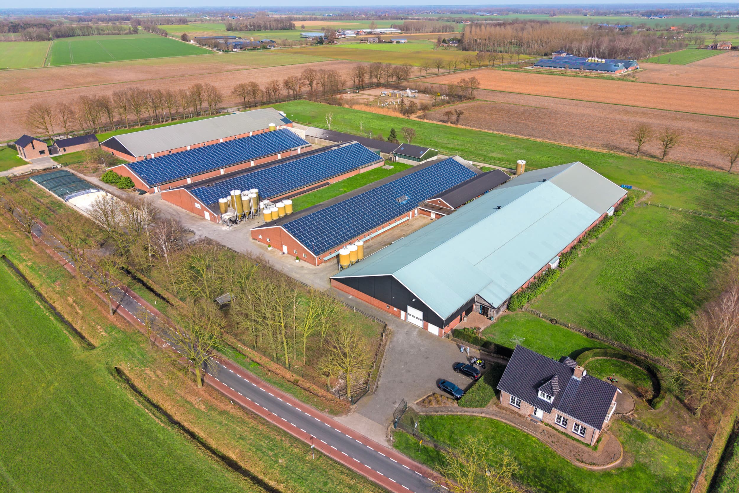 Voor de zeugen- en biggenstal van het bedrijf liggen de vleesvarkens. De grond ligt deels achter het bedrijf en deels dicht in de buurt.